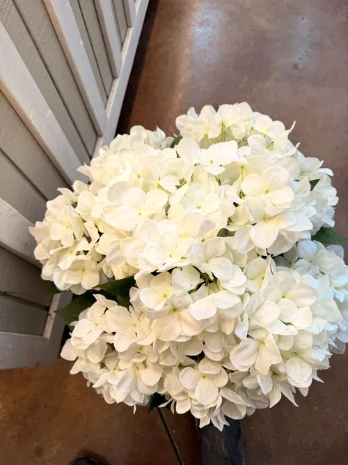 A white hydrangea centerpiece on a dinner table at a corporate event at Cedar Pond Farms.