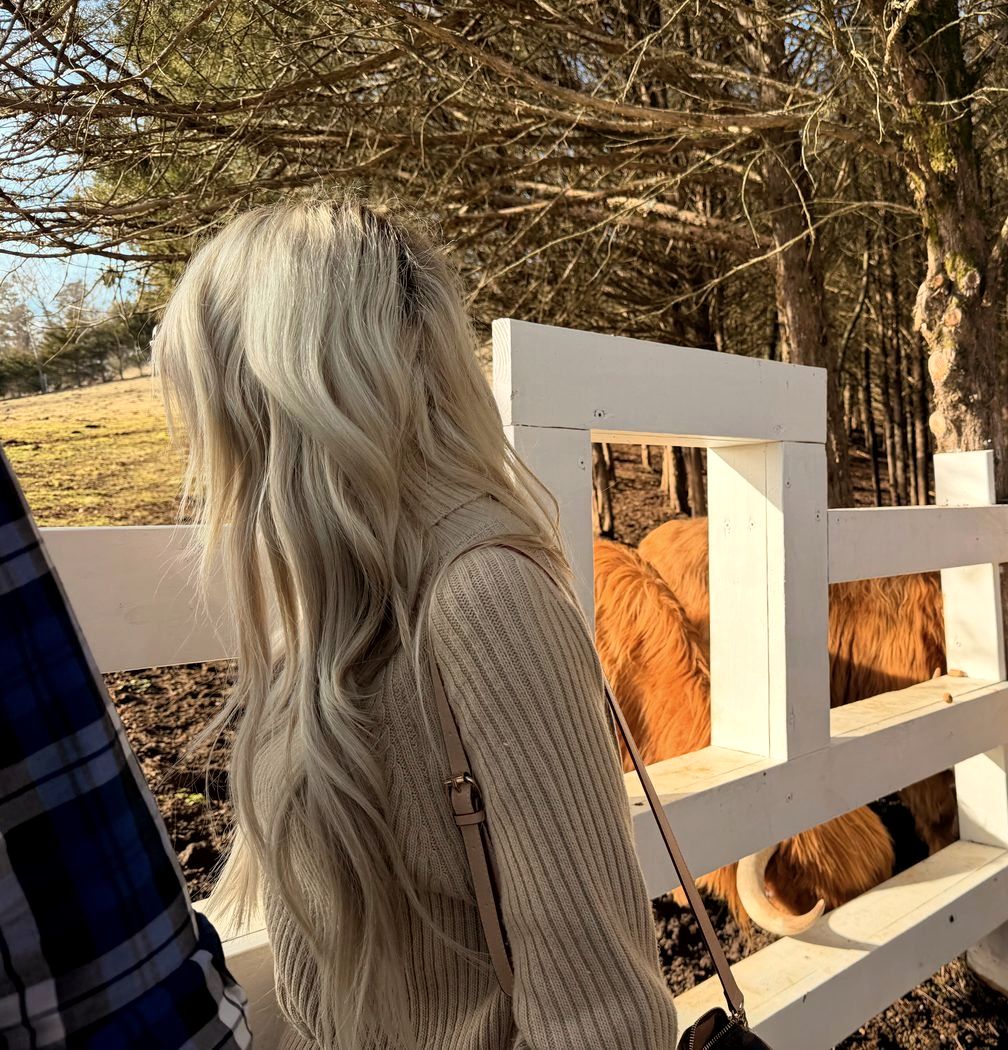 A guest watches Scottish Highland cattle through the white fence during a team-building break at Cedar Pond Farms.
