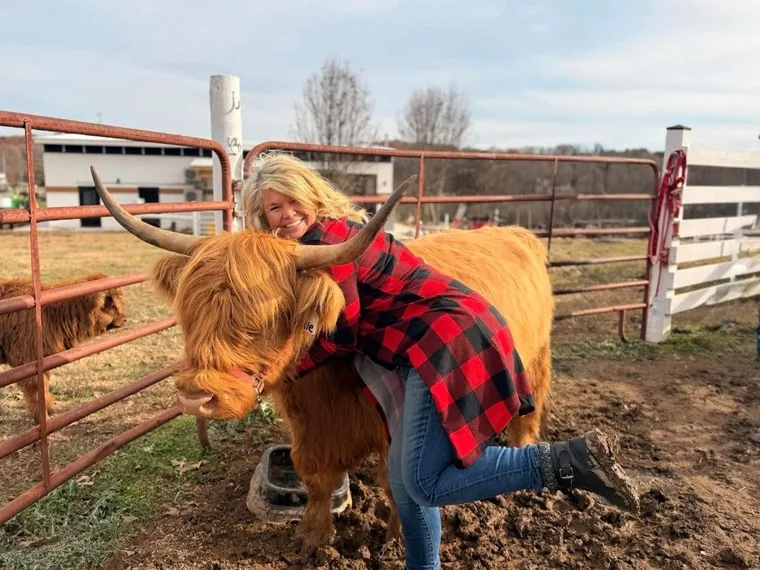 A guest hugging a shaggy Scottish Highland cow during a Fluffy Cow Experience at Cedar Pond Farms