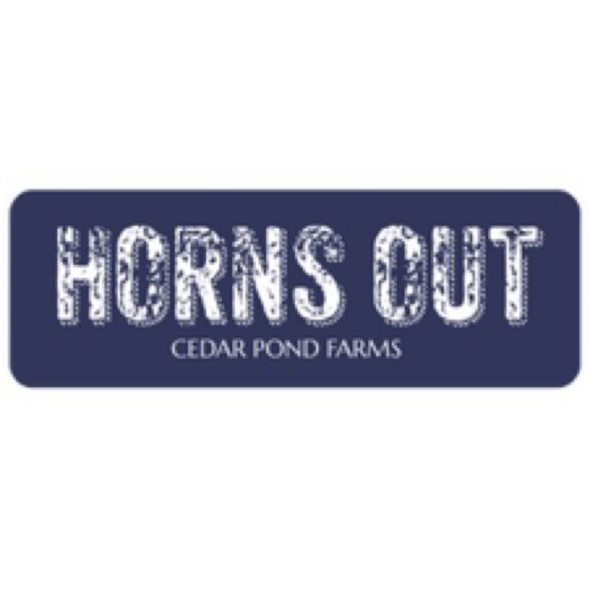 Horns Out at the Cedar Pond Farms gift shop — our fluffy Highland cow farm just outside the Smoky Mountains.