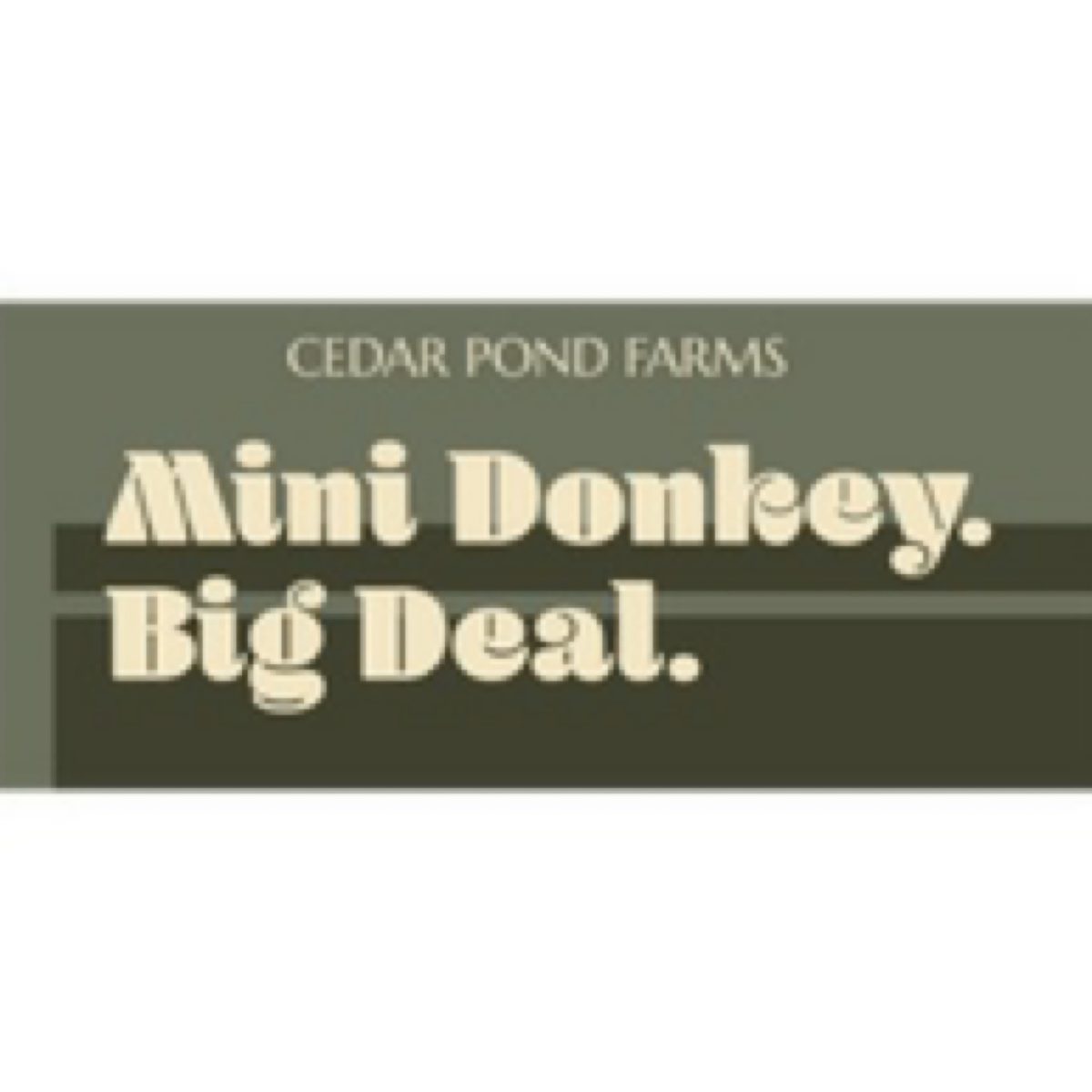 Mini Donkeys are a Big Deal at the Cedar Pond Farms gift shop — our fluffy Highland cow farm just outside the Smoky Mountains.