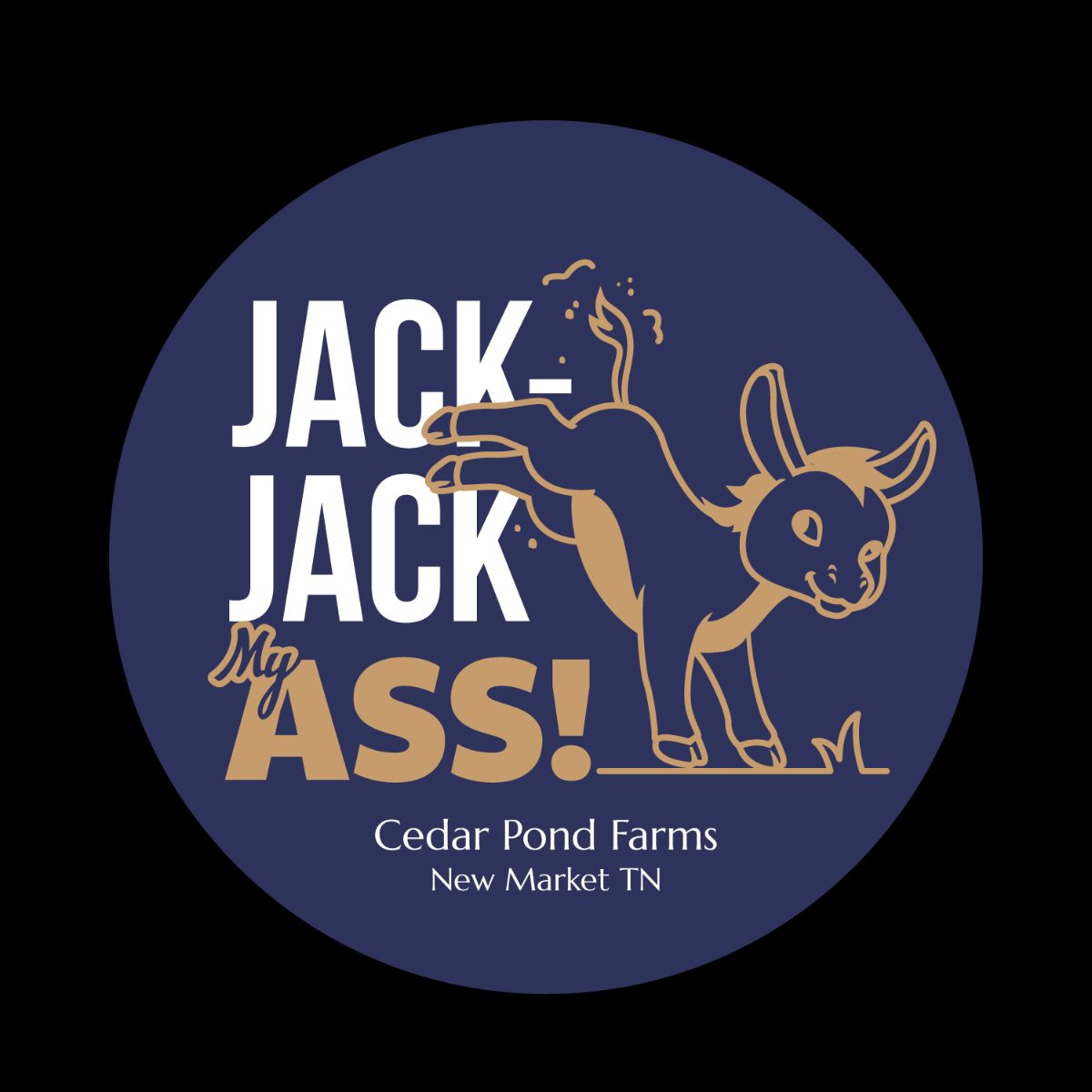 JACK JACK My ASS! from the Stickers shelf at the Cedar Pond Farms gift shop — our fluffy Highland cow farm just outside the Smoky Mountains.