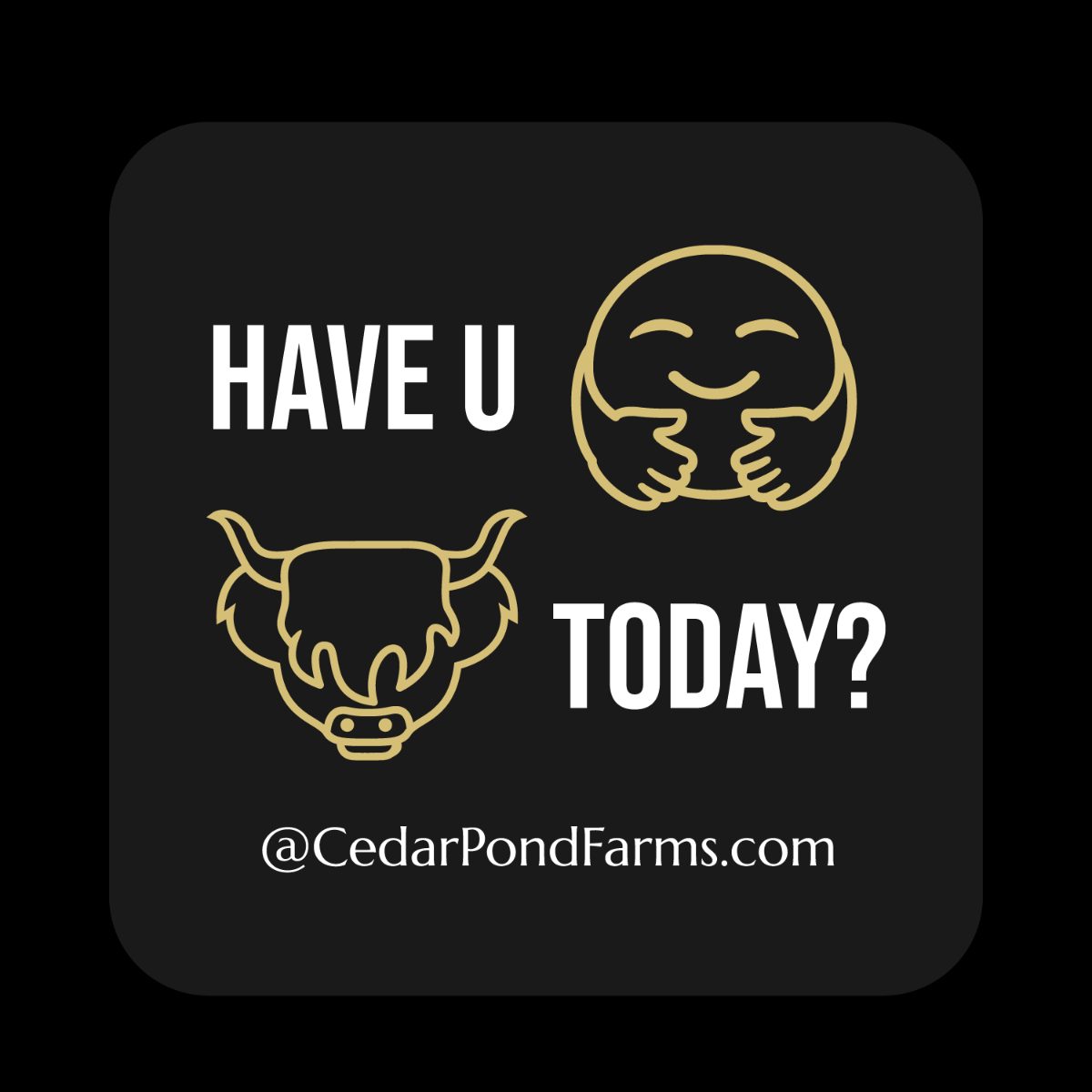 Have you hugged a cow today? from the Stickers shelf at the Cedar Pond Farms gift shop — our fluffy Highland cow farm just outside the Smoky Mountains.
