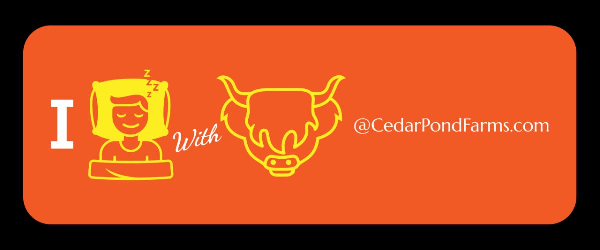 I Slept with a Highland Cow at Cedar Pond Farms from the Stickers shelf at the Cedar Pond Farms gift shop — our fluffy Highland cow farm just outside the Smoky Mountains.