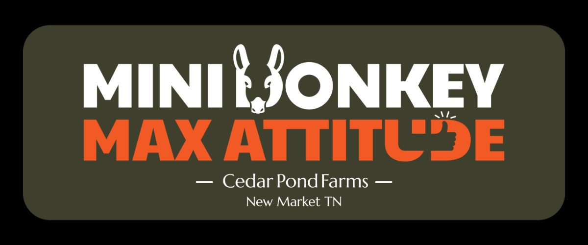 MINI-DONKEY MAX ATTITUDE from the Stickers shelf at the Cedar Pond Farms gift shop — our fluffy Highland cow farm just outside the Smoky Mountains.