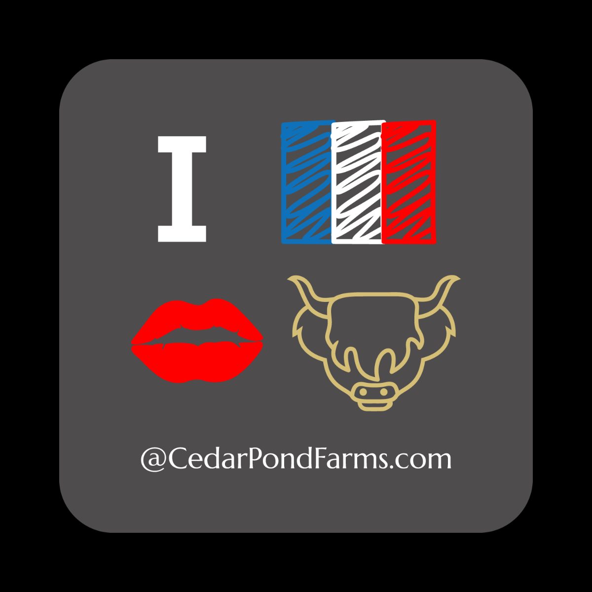 I FRENCH KISSED A SCOTTISH HIGHLAND COW from the Stickers shelf at the Cedar Pond Farms gift shop — our fluffy Highland cow farm just outside the Smoky Mountains.
