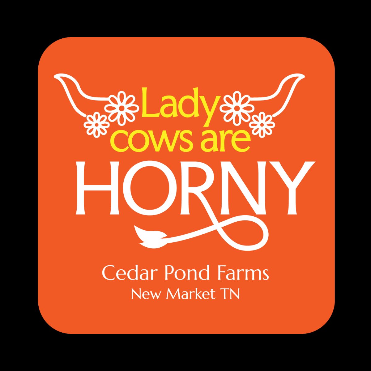 Lady Cows are Horny from the Stickers shelf at the Cedar Pond Farms gift shop — our fluffy Highland cow farm just outside the Smoky Mountains.