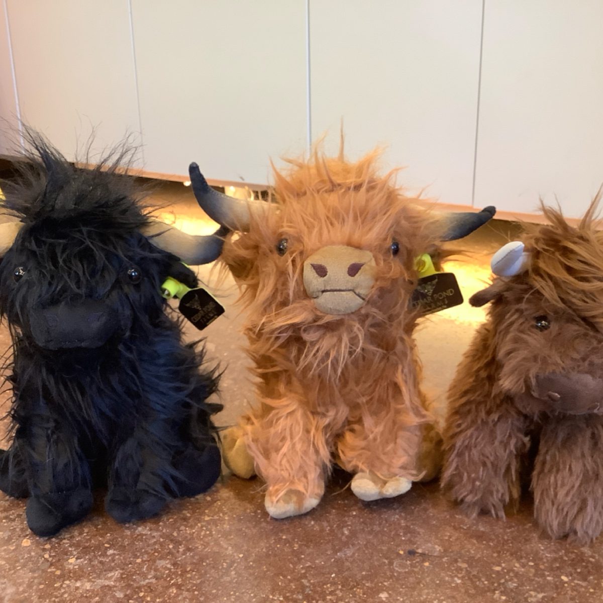 MEDIUM COW — Black Cow from the STUFFIES shelf at the Cedar Pond Farms gift shop — our fluffy Highland cow farm just outside the Smoky Mountains.