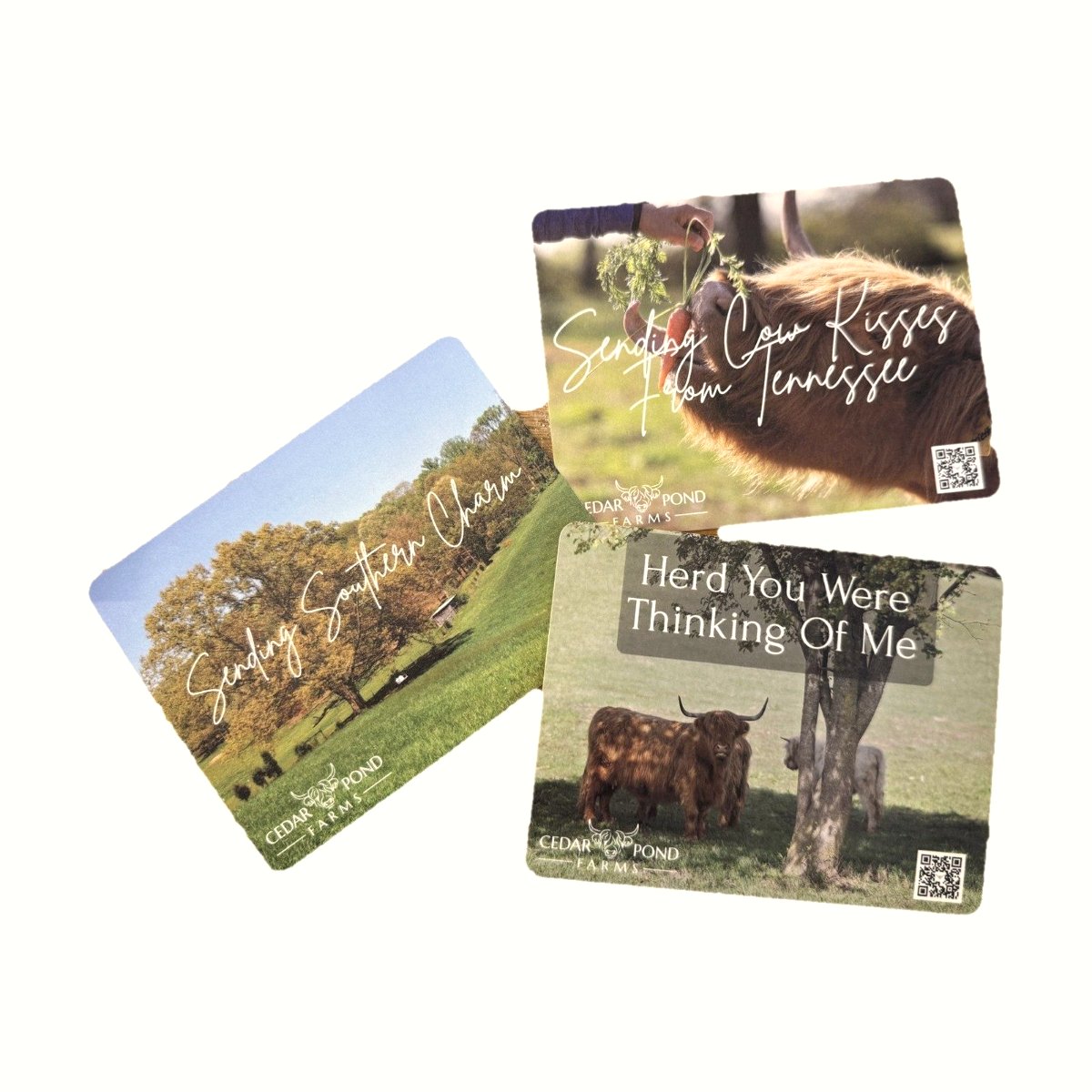 Three farm-themed postcards featuring Highland cows and Tennessee countryside scenes with handwritten-style captions.