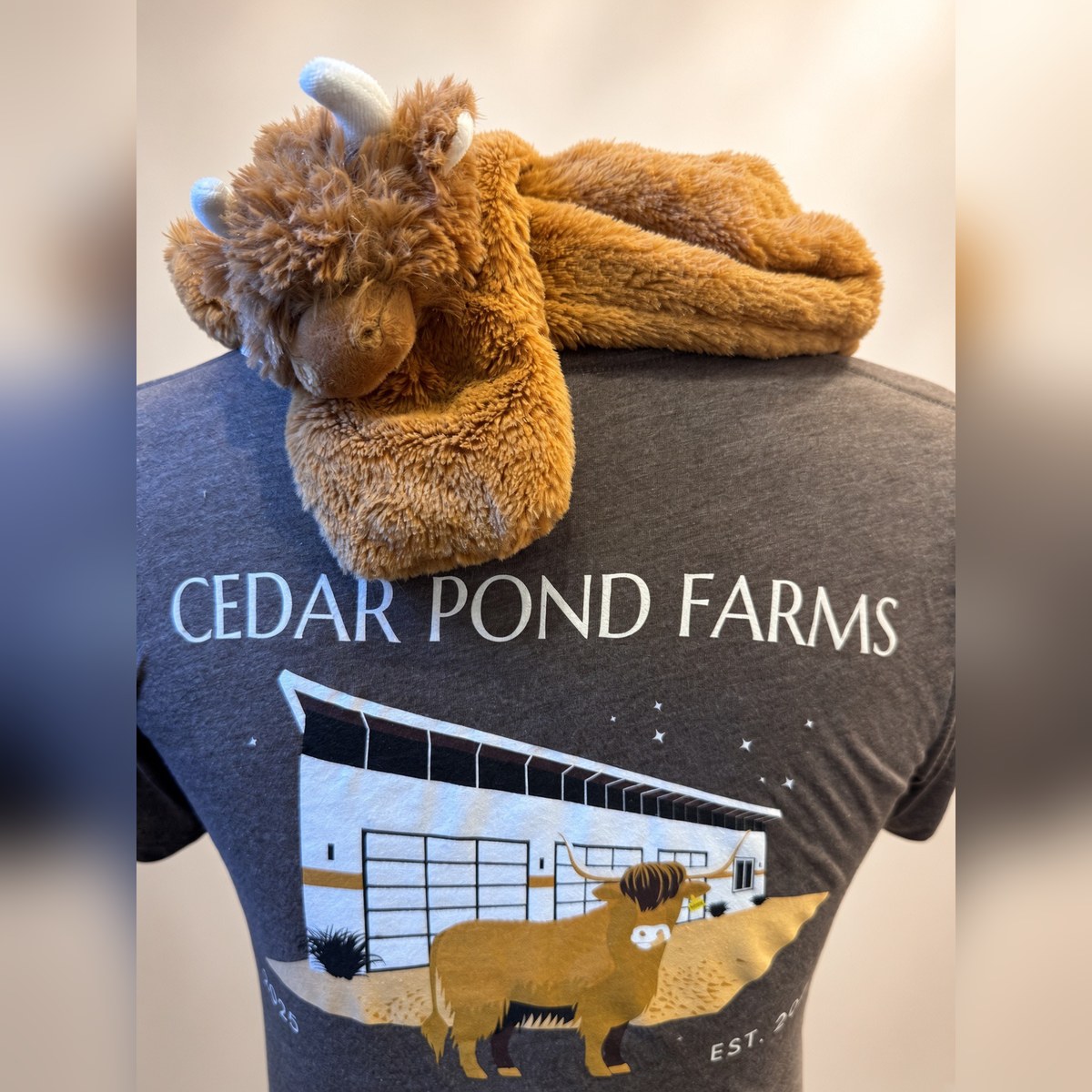 Cedar Pond Farms Scottish Highland Cow Tee from the APPAREL shelf at the Cedar Pond Farms gift shop — our fluffy Highland cow farm just outside the Smoky Mountains.