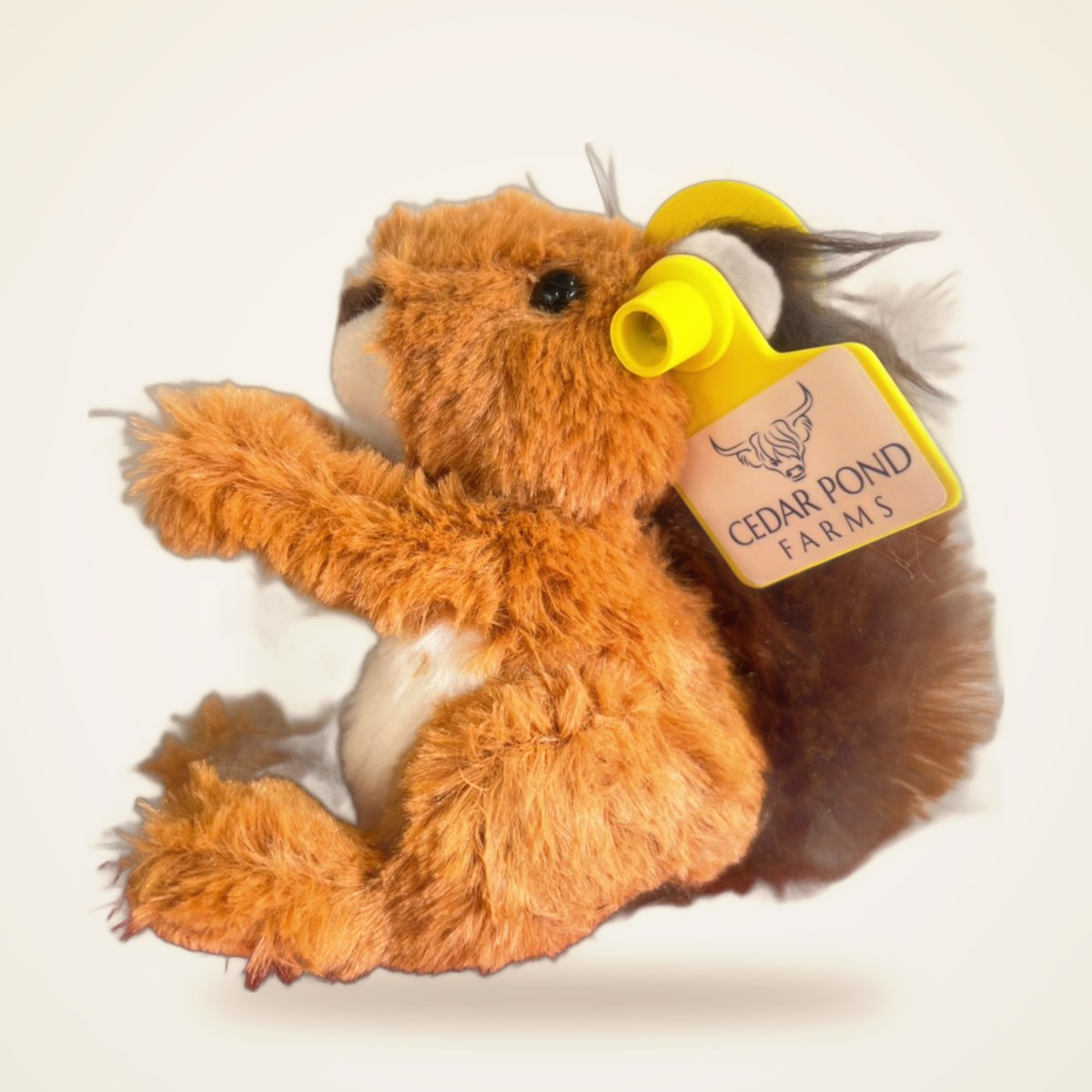 Mini squirrel from the STUFFIES shelf at the Cedar Pond Farms gift shop — our fluffy Highland cow farm just outside the Smoky Mountains.