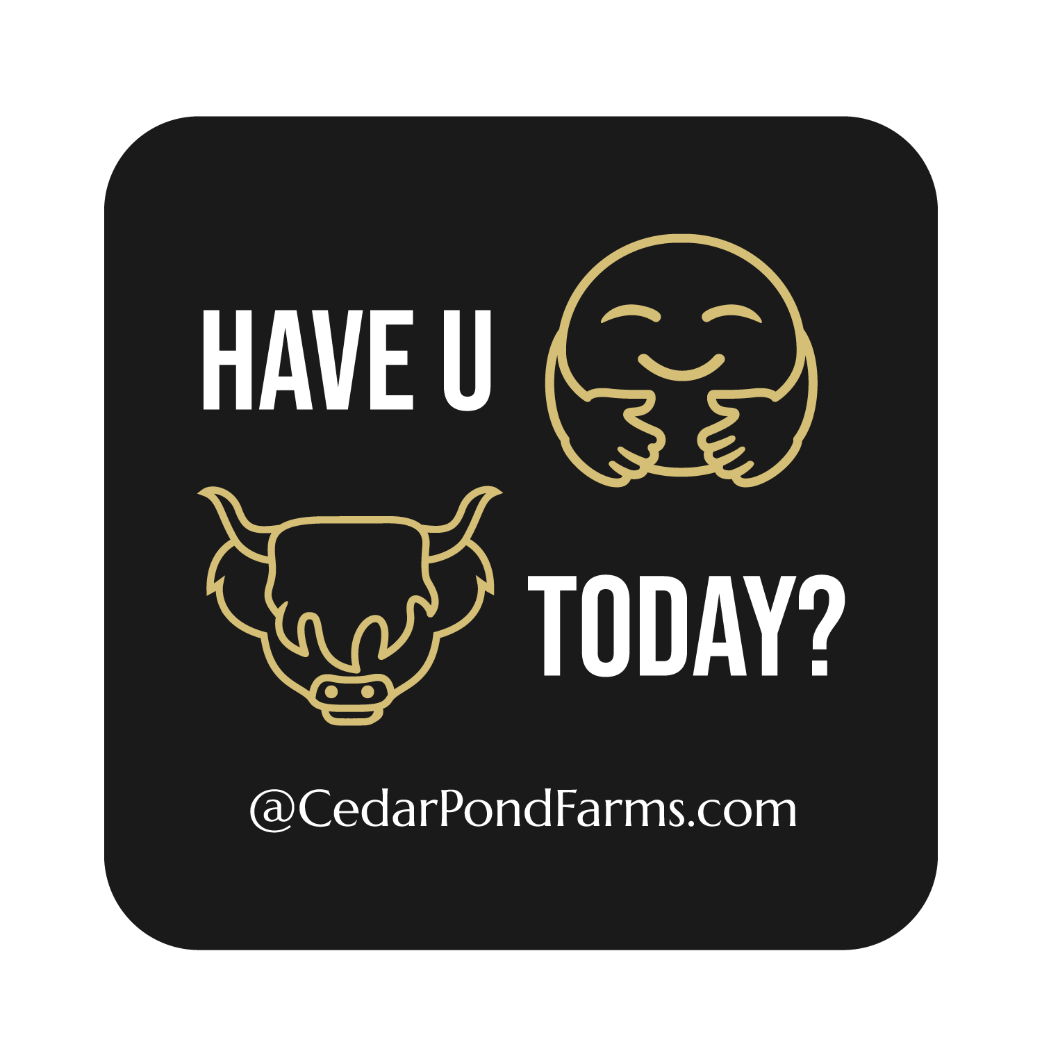 Have you hugged a cow today? from the STICKERS shelf at the Cedar Pond Farms gift shop — our fluffy Highland cow farm just outside the Smoky Mountains.