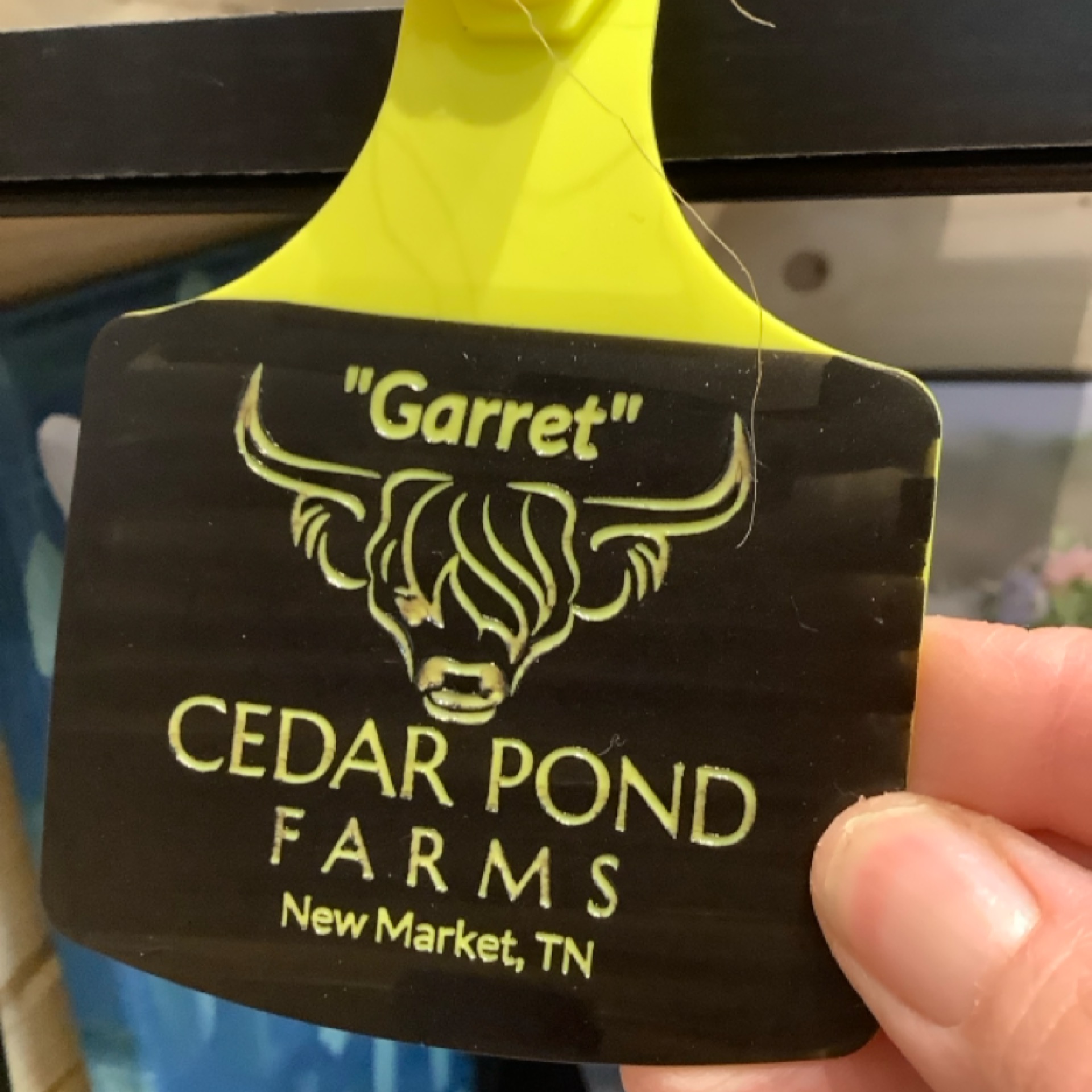 Yellow ear tag ornament at the Cedar Pond Farms gift shop — our fluffy Highland cow farm just outside the Smoky Mountains.