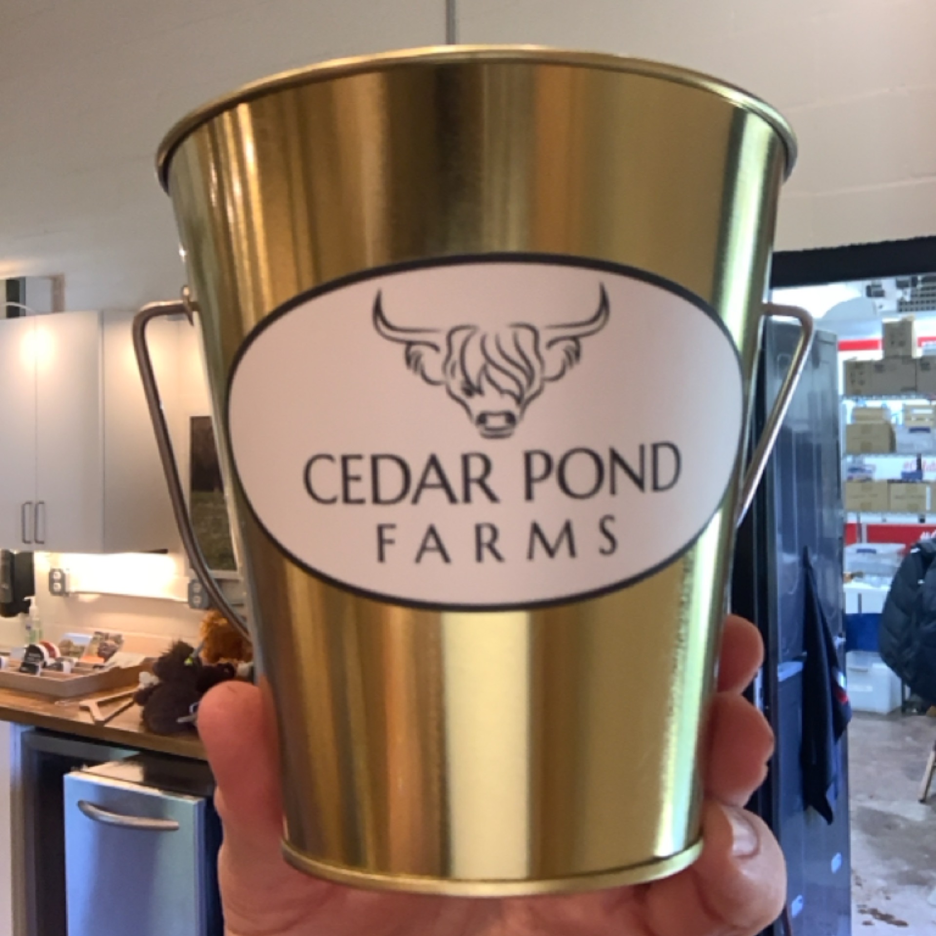 Small Gold Bucket from the MISC shelf at the Cedar Pond Farms gift shop — our fluffy Highland cow farm just outside the Smoky Mountains.