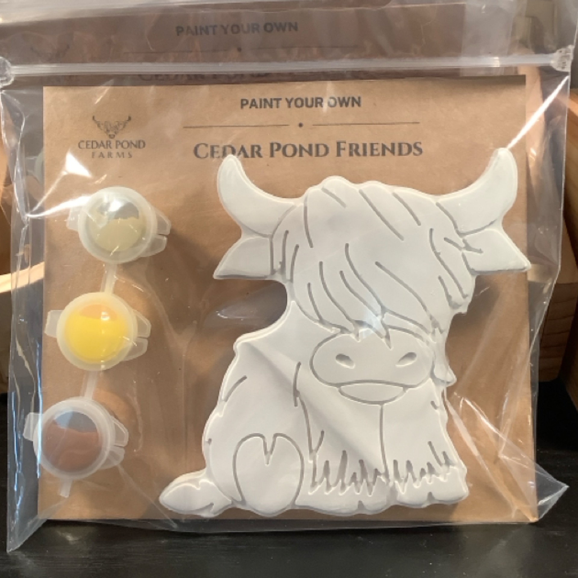 Paint your own ceramic magnet kit from the MAGNETS shelf at the Cedar Pond Farms gift shop — our fluffy Highland cow farm just outside the Smoky Mountains.