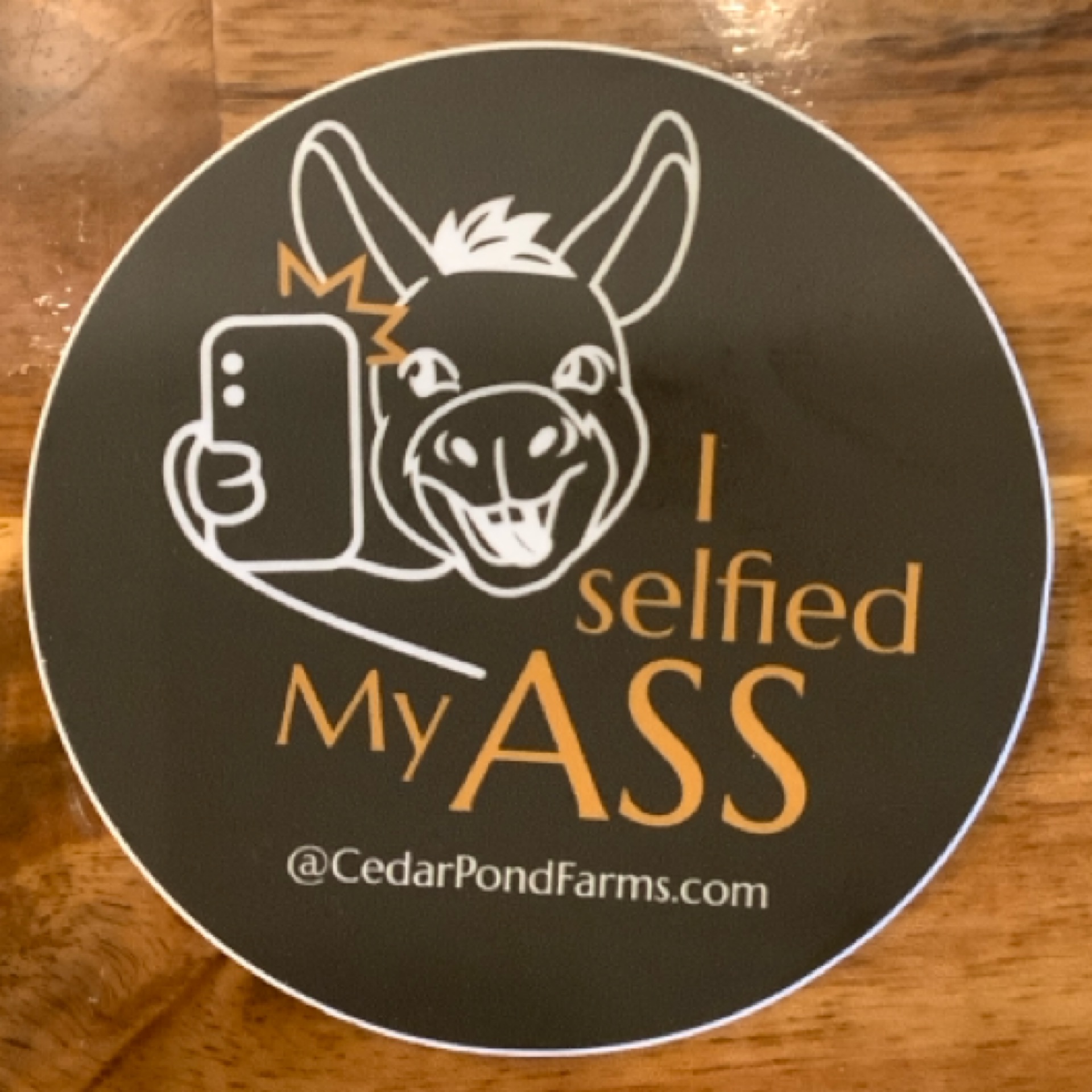 I Selfied My Ass from the STICKERS shelf at the Cedar Pond Farms gift shop — our fluffy Highland cow farm just outside the Smoky Mountains.