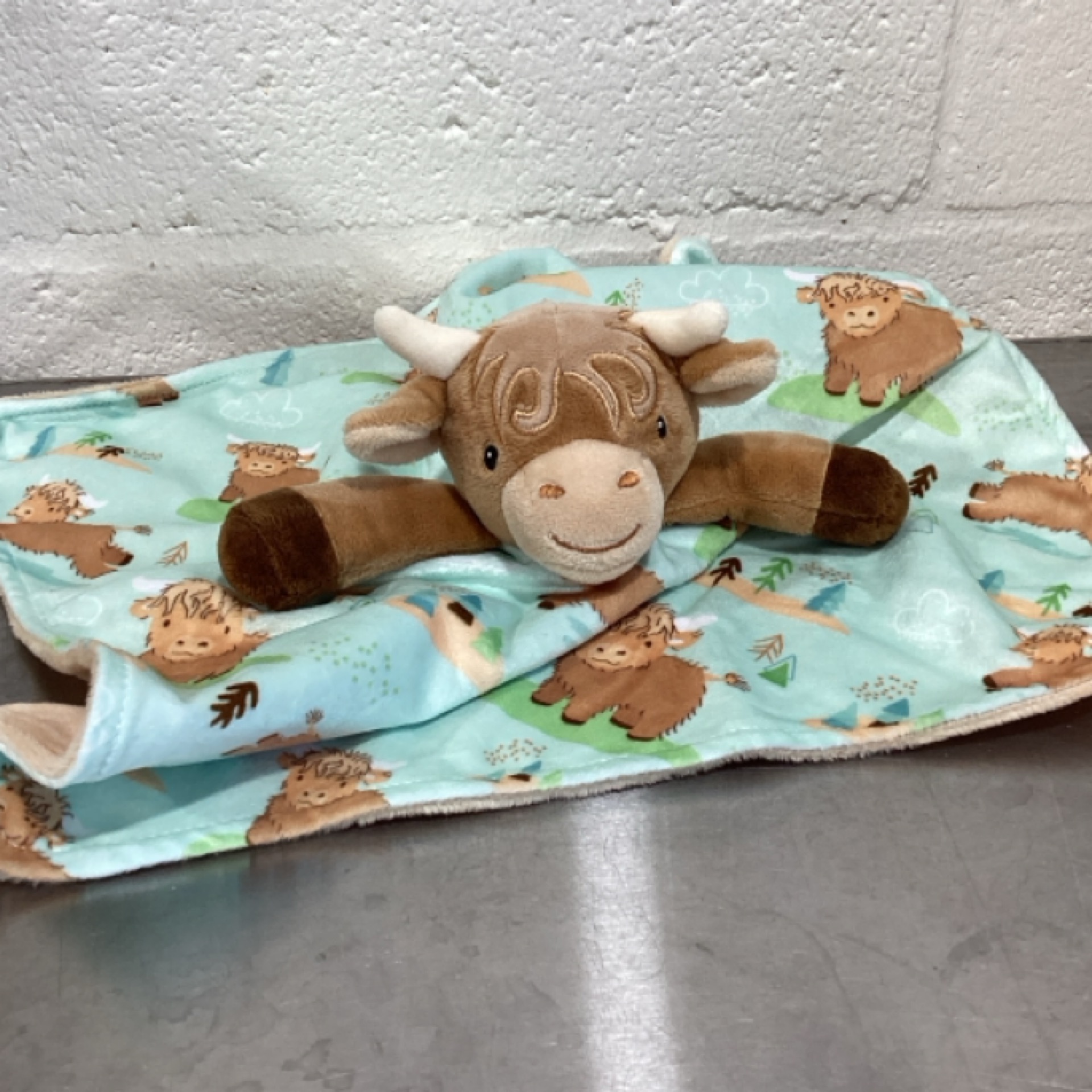Blue Baby Blanket at the Cedar Pond Farms gift shop — our fluffy Highland cow farm just outside the Smoky Mountains.