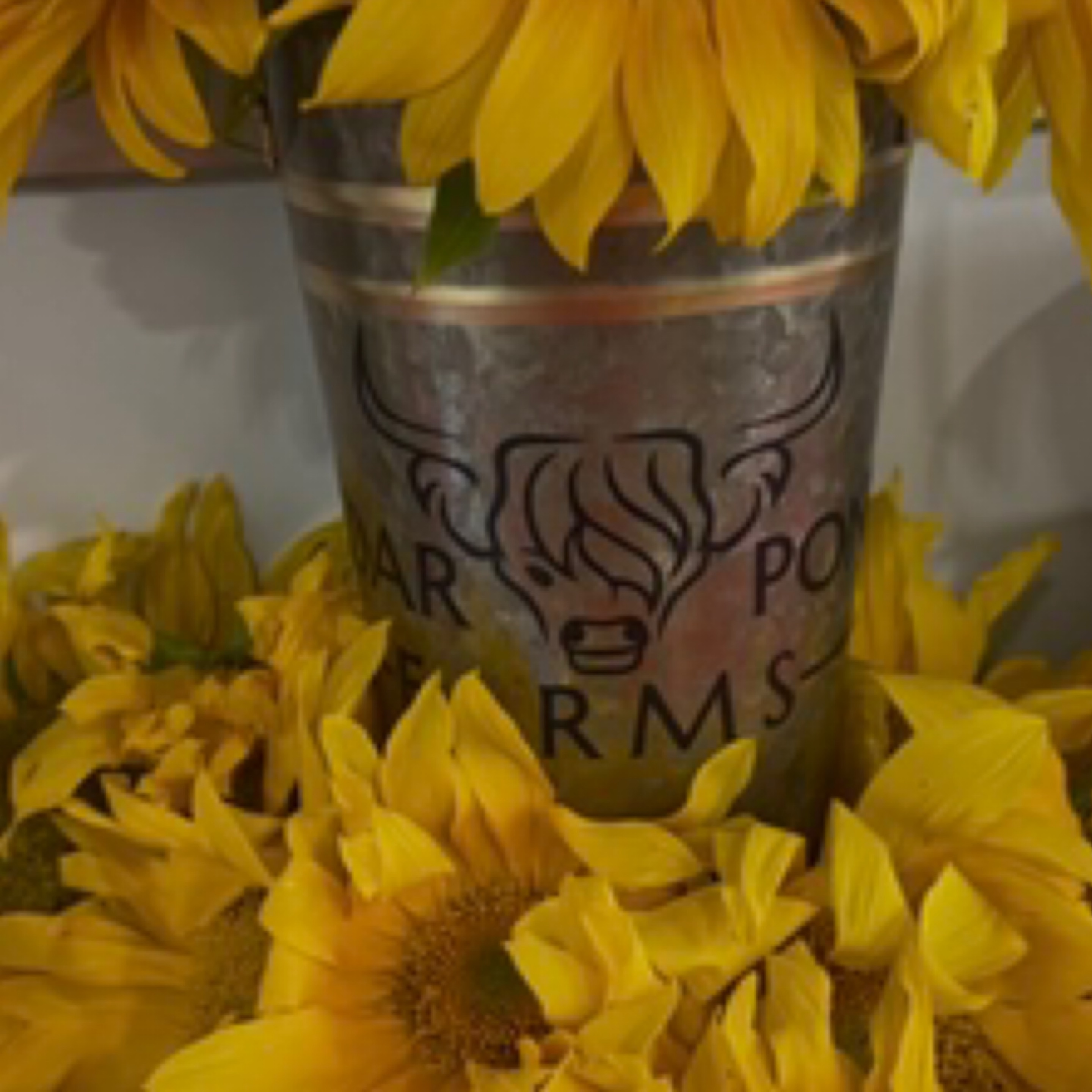 Metal Flower Vase at the Cedar Pond Farms gift shop — our fluffy Highland cow farm just outside the Smoky Mountains.