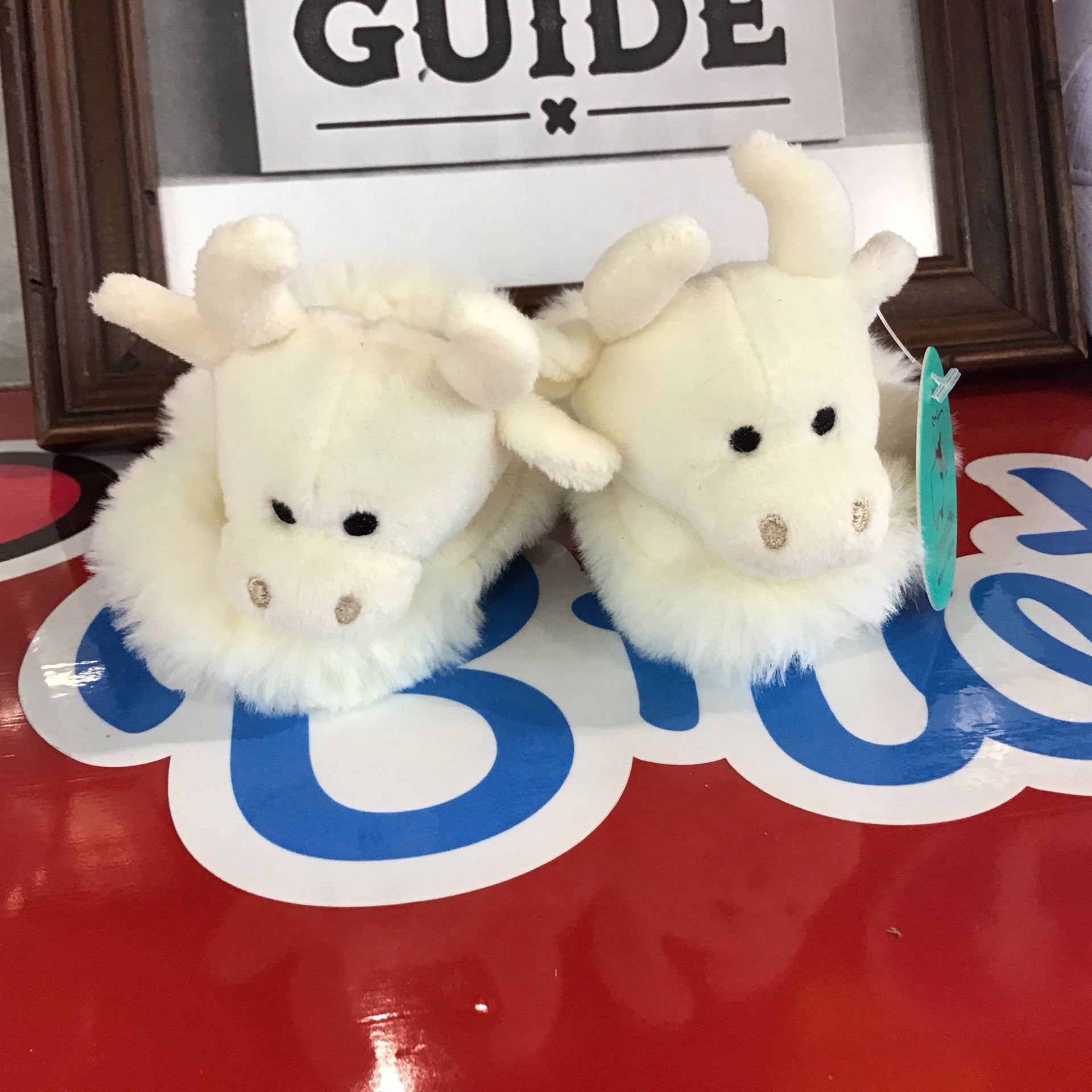 BOOTIES COO at the Cedar Pond Farms gift shop — our fluffy Highland cow farm just outside the Smoky Mountains.