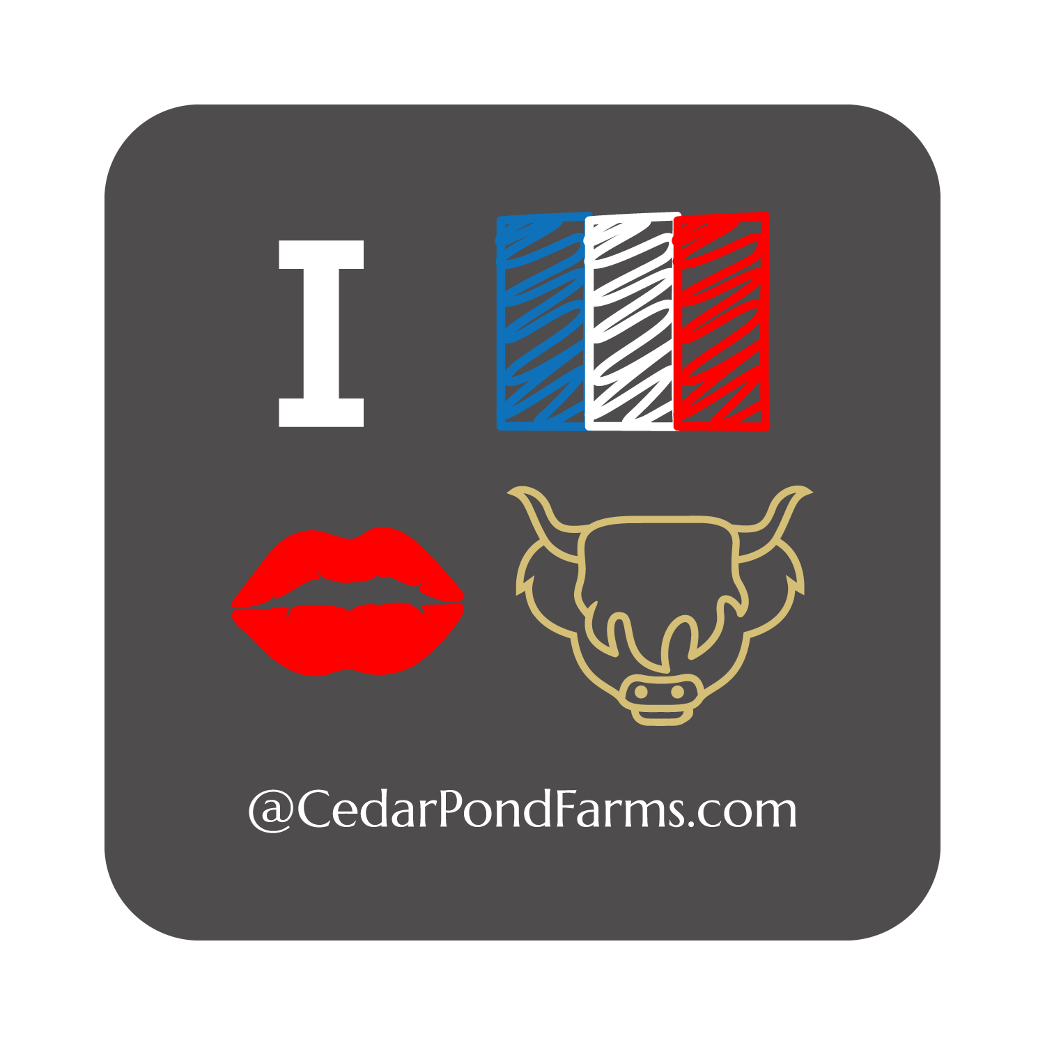 I FRENCH KISSED A SCOTTISH HIGHLAND COW from the STICKERS shelf at the Cedar Pond Farms gift shop — our fluffy Highland cow farm just outside the Smoky Mountains.