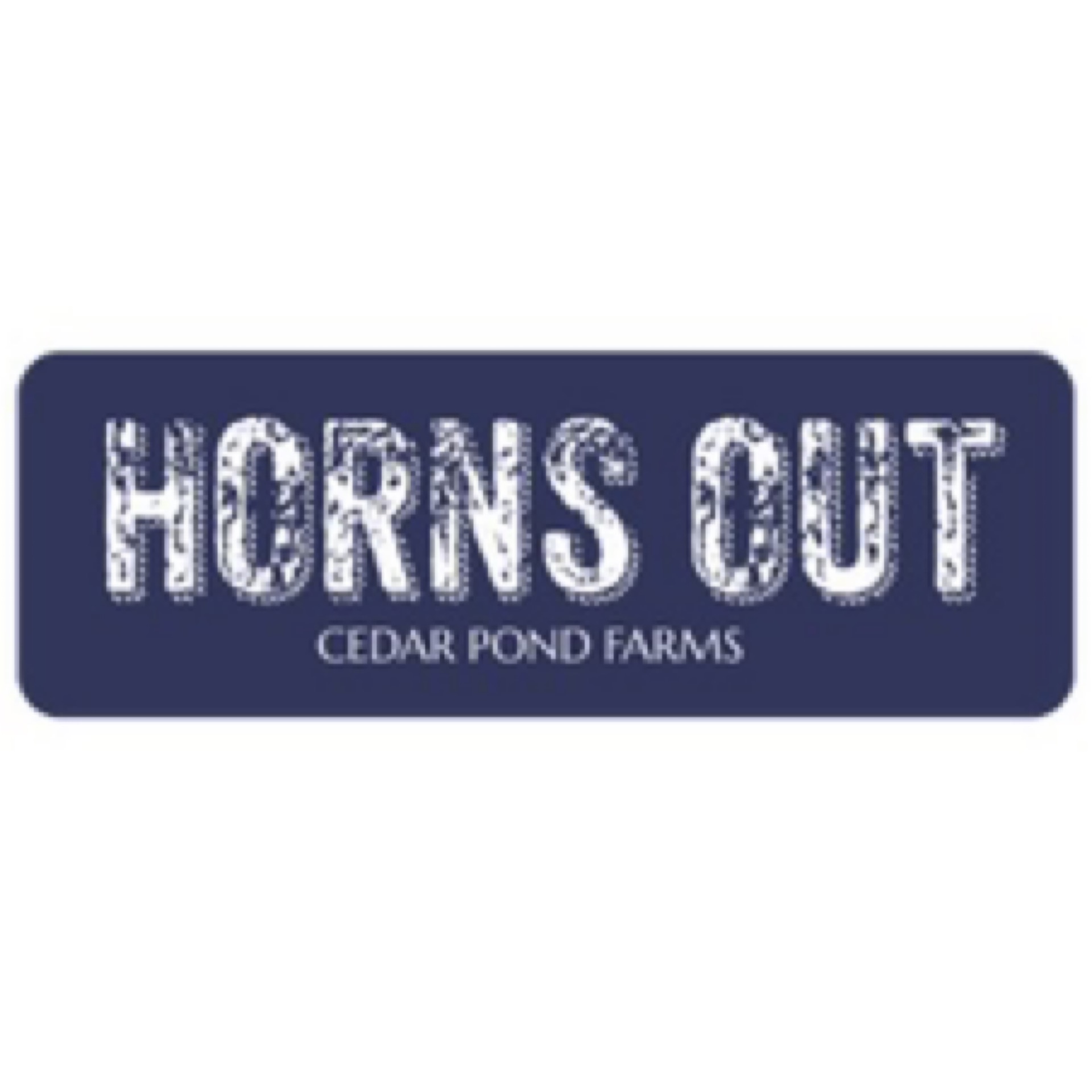 Horns Out at the Cedar Pond Farms gift shop — our fluffy Highland cow farm just outside the Smoky Mountains.