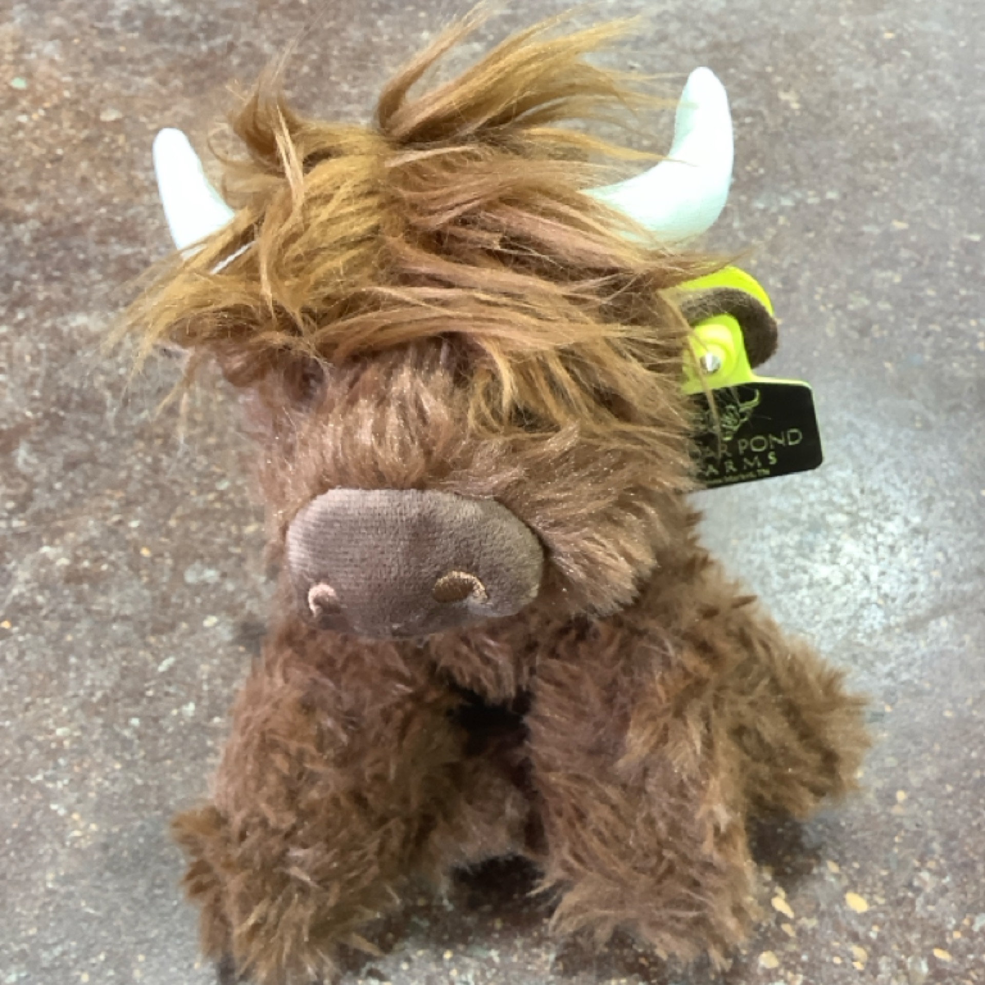 Chocolate colored 9 inch Highland Cow at the Cedar Pond Farms gift shop — our fluffy Highland cow farm just outside the Smoky Mountains.