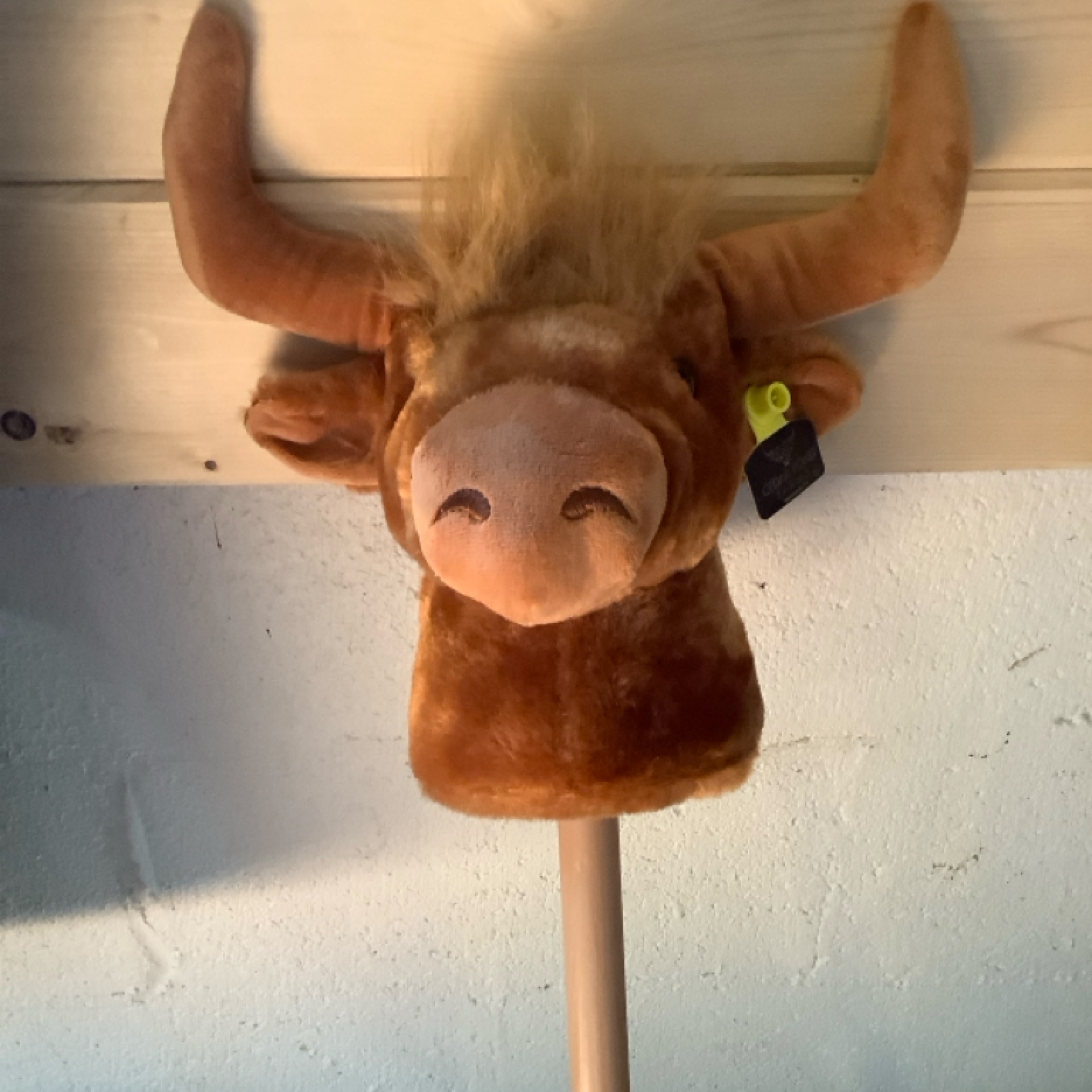 Hobby Cow on a Stick at the Cedar Pond Farms gift shop — our fluffy Highland cow farm just outside the Smoky Mountains.