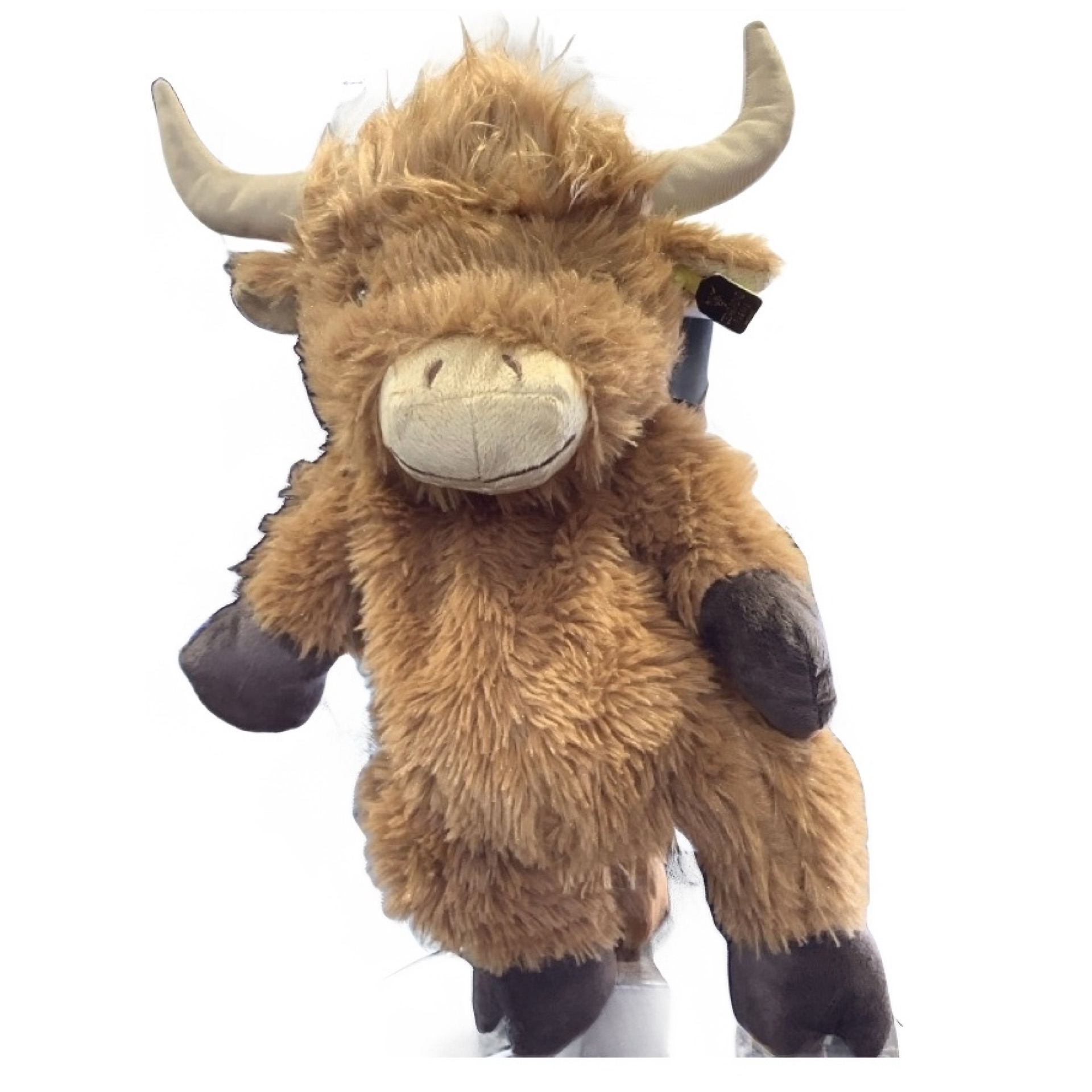 Backpack at the Cedar Pond Farms gift shop — our fluffy Highland cow farm just outside the Smoky Mountains.