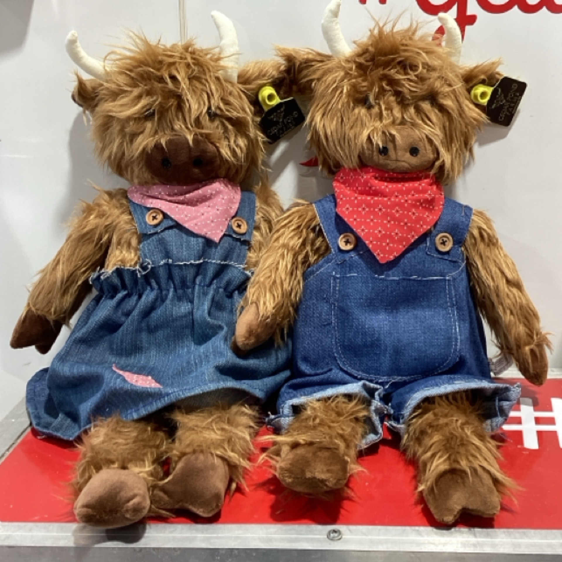 Dressed Up Highland Cows, sold at the Cedar Pond Farms farm store in New Market, Tennessee.