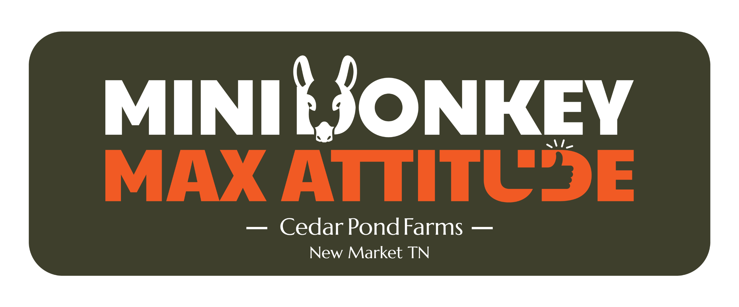 MINI-DONKEY MAX ATTITUDE from the STICKERS shelf at the Cedar Pond Farms gift shop — our fluffy Highland cow farm just outside the Smoky Mountains.