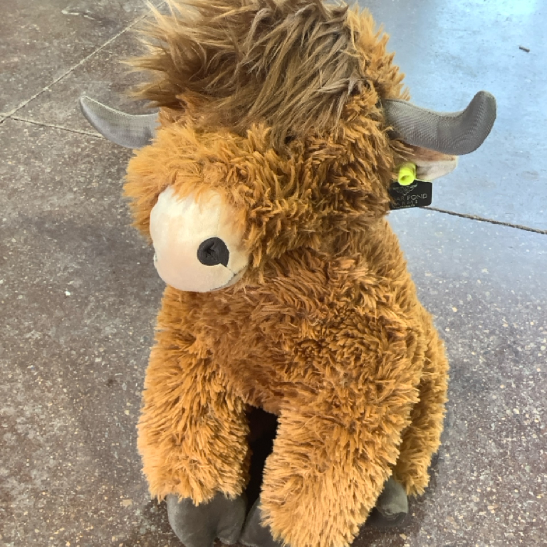 Jumbo Highland Cow Stuffie at the Cedar Pond Farms gift shop — our fluffy Highland cow farm just outside the Smoky Mountains.