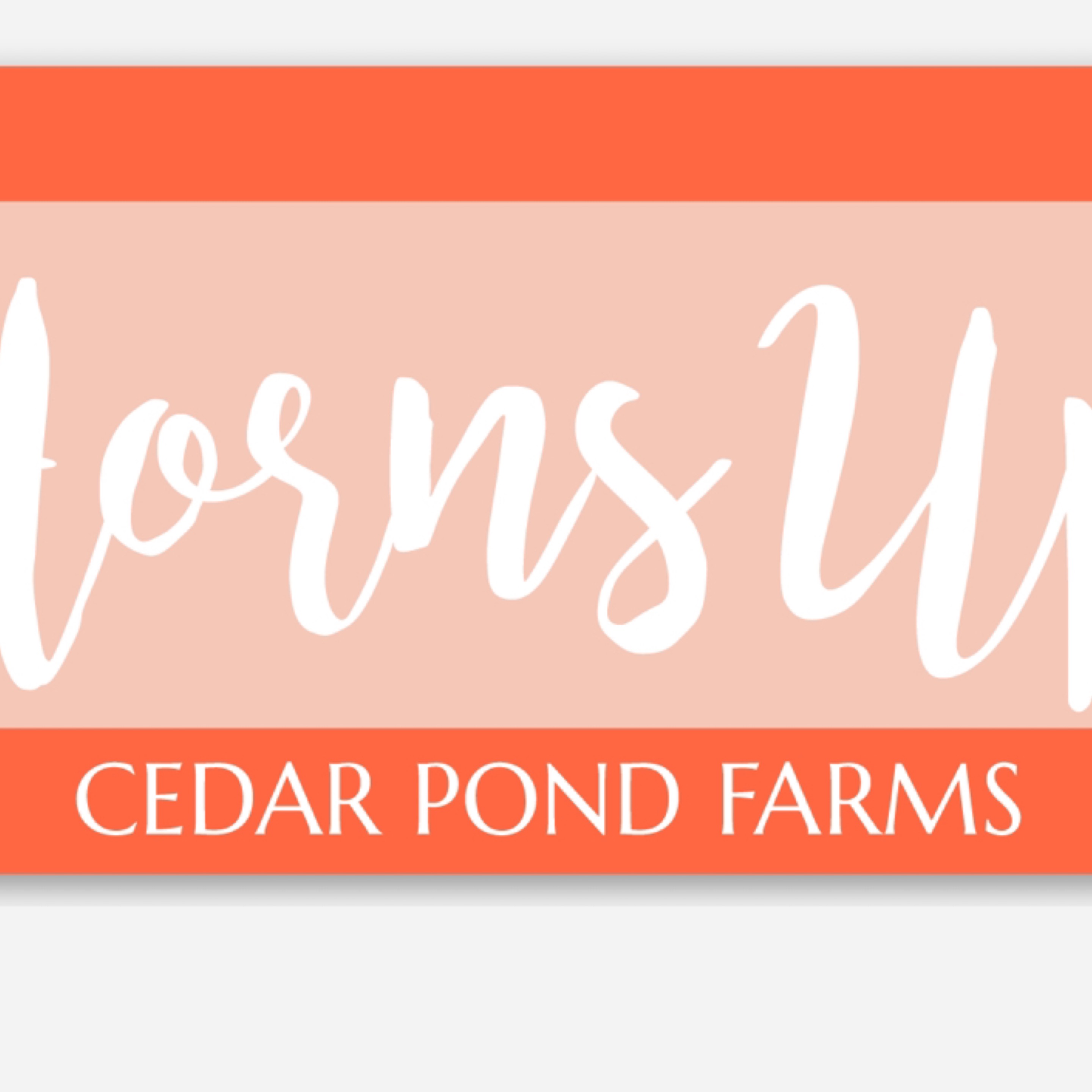 Horns Up at the Cedar Pond Farms gift shop — our fluffy Highland cow farm just outside the Smoky Mountains.