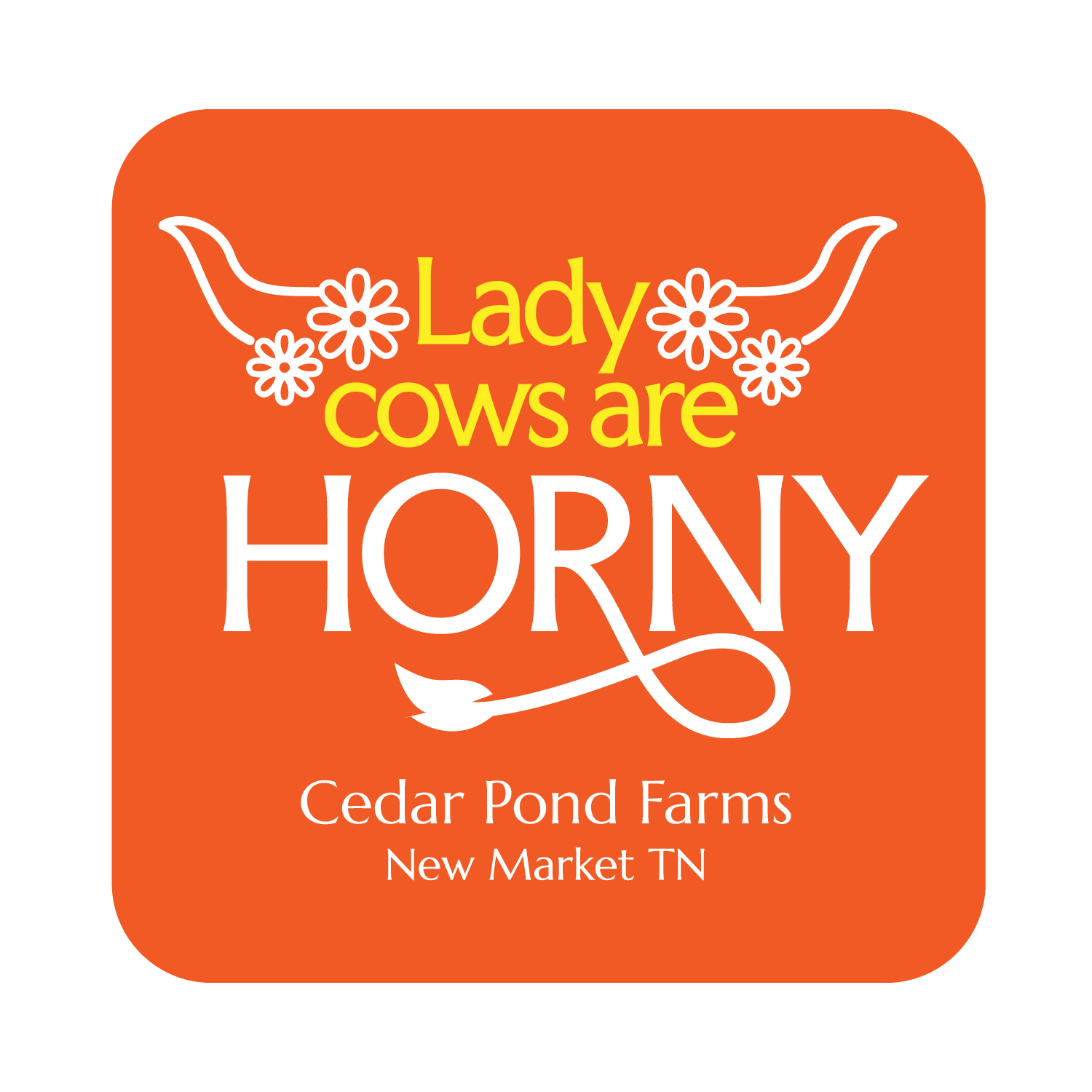 Lady Cows are Horny from the STICKERS shelf at the Cedar Pond Farms gift shop — our fluffy Highland cow farm just outside the Smoky Mountains.