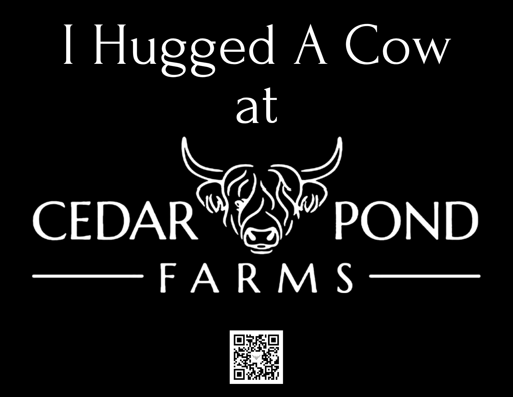 I Hugged A Cow Postcard from the POSTCARDS shelf at the Cedar Pond Farms gift shop — our fluffy Highland cow farm just outside the Smoky Mountains.