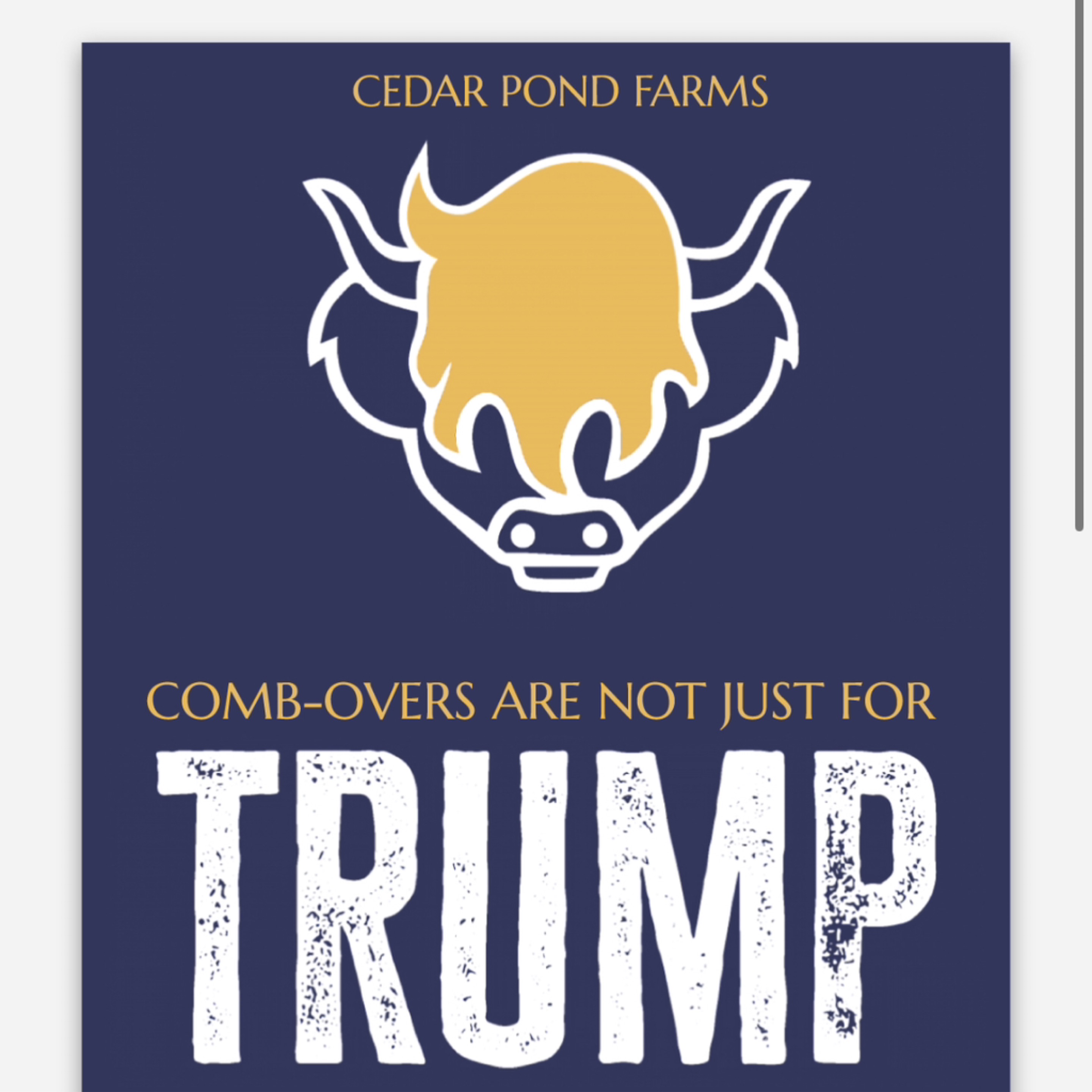 Comb Overs Are Not Just for Trump - Square at the Cedar Pond Farms gift shop — our fluffy Highland cow farm just outside the Smoky Mountains.