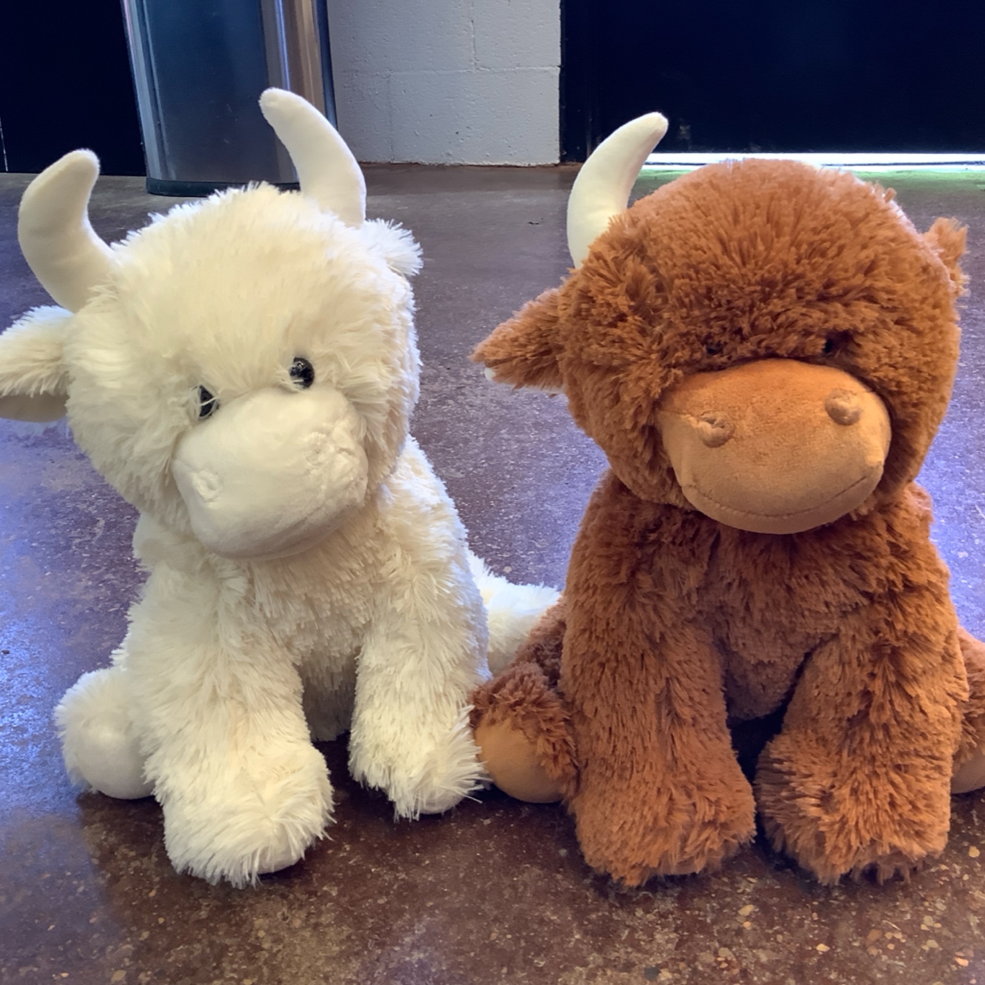 LARGE COW — Brown Cow from the STUFFIES shelf at the Cedar Pond Farms gift shop — our fluffy Highland cow farm just outside the Smoky Mountains.