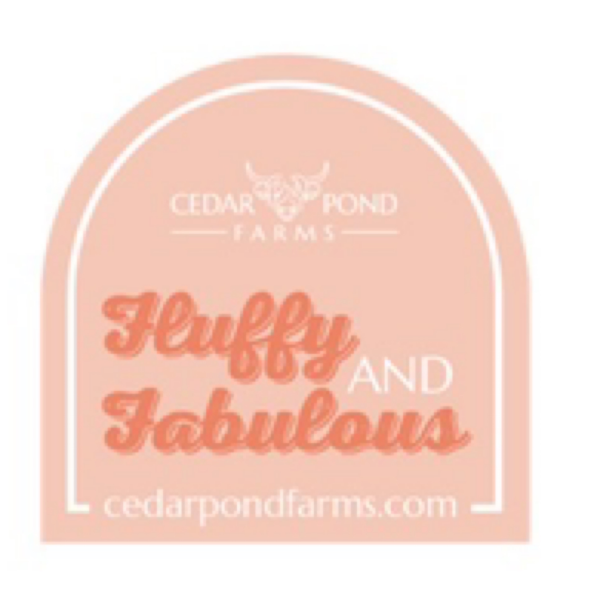 Fluffy & Fabulous at the Cedar Pond Farms gift shop — our fluffy Highland cow farm just outside the Smoky Mountains.