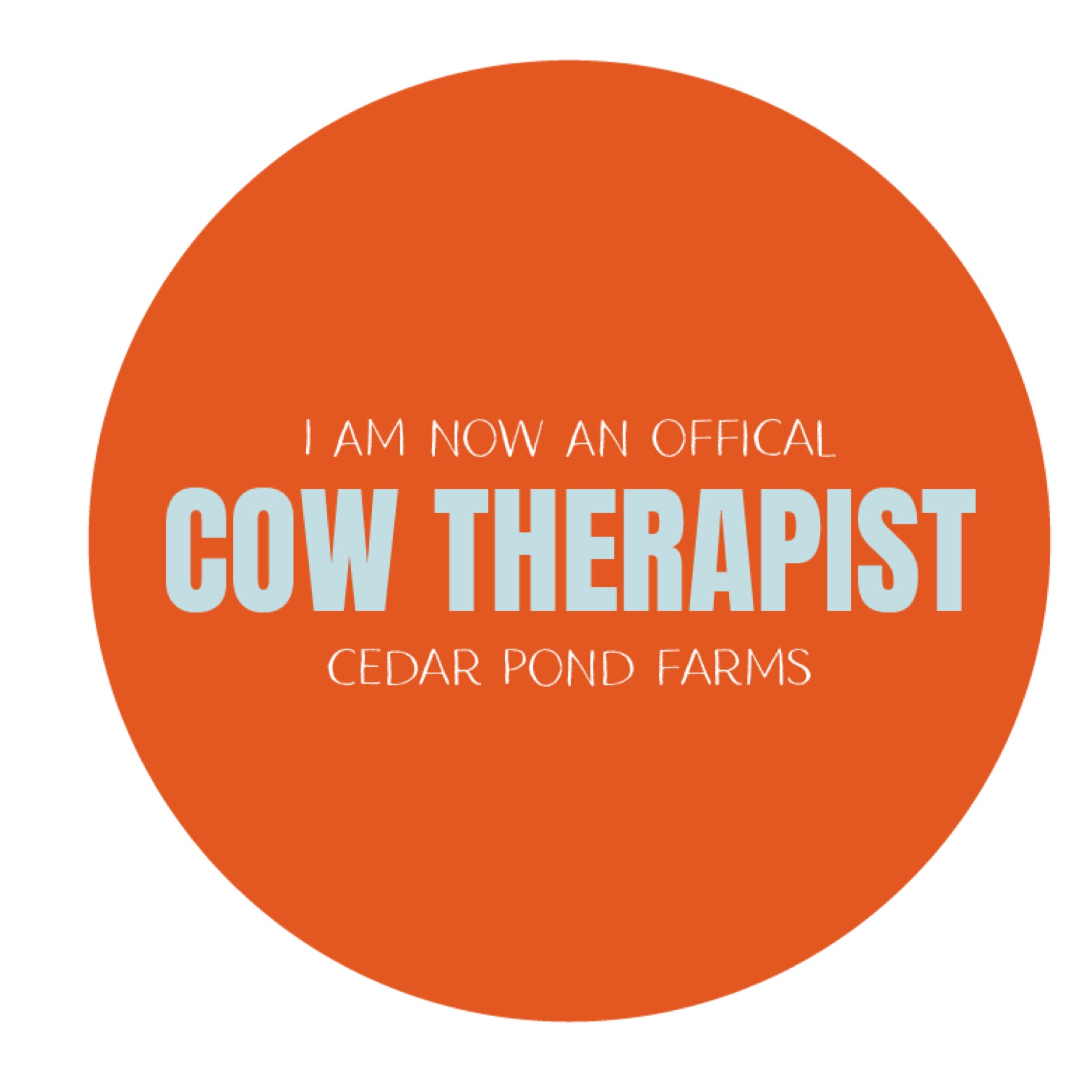 Cow Therapist at the Cedar Pond Farms gift shop — our fluffy Highland cow farm just outside the Smoky Mountains.