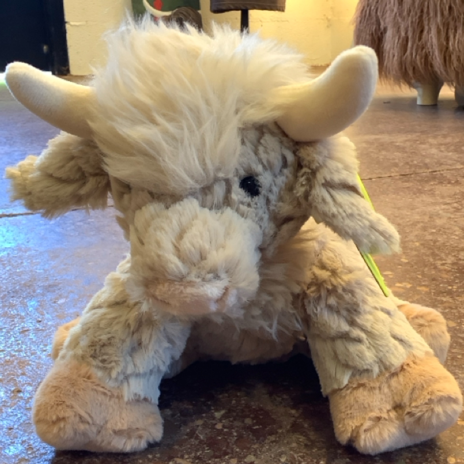 BLONDE COW from the STUFFIES shelf at the Cedar Pond Farms gift shop — our fluffy Highland cow farm just outside the Smoky Mountains.