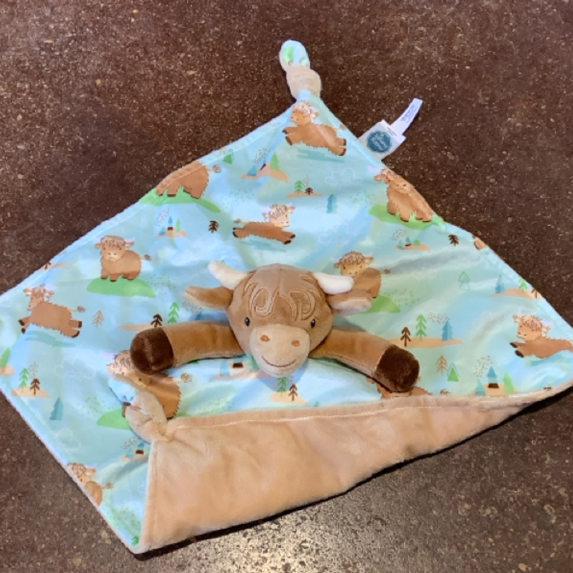 BLANKET from the STUFFIES shelf at the Cedar Pond Farms gift shop — our fluffy Highland cow farm just outside the Smoky Mountains.