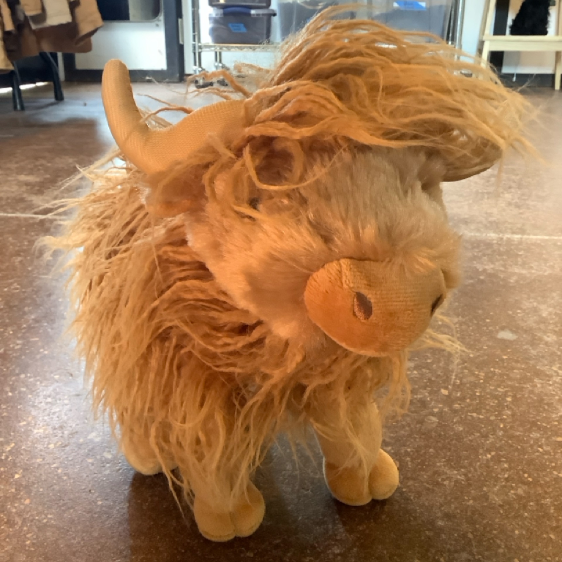 Shaggy Tan Cow Stuffie at the Cedar Pond Farms gift shop — our fluffy Highland cow farm just outside the Smoky Mountains.