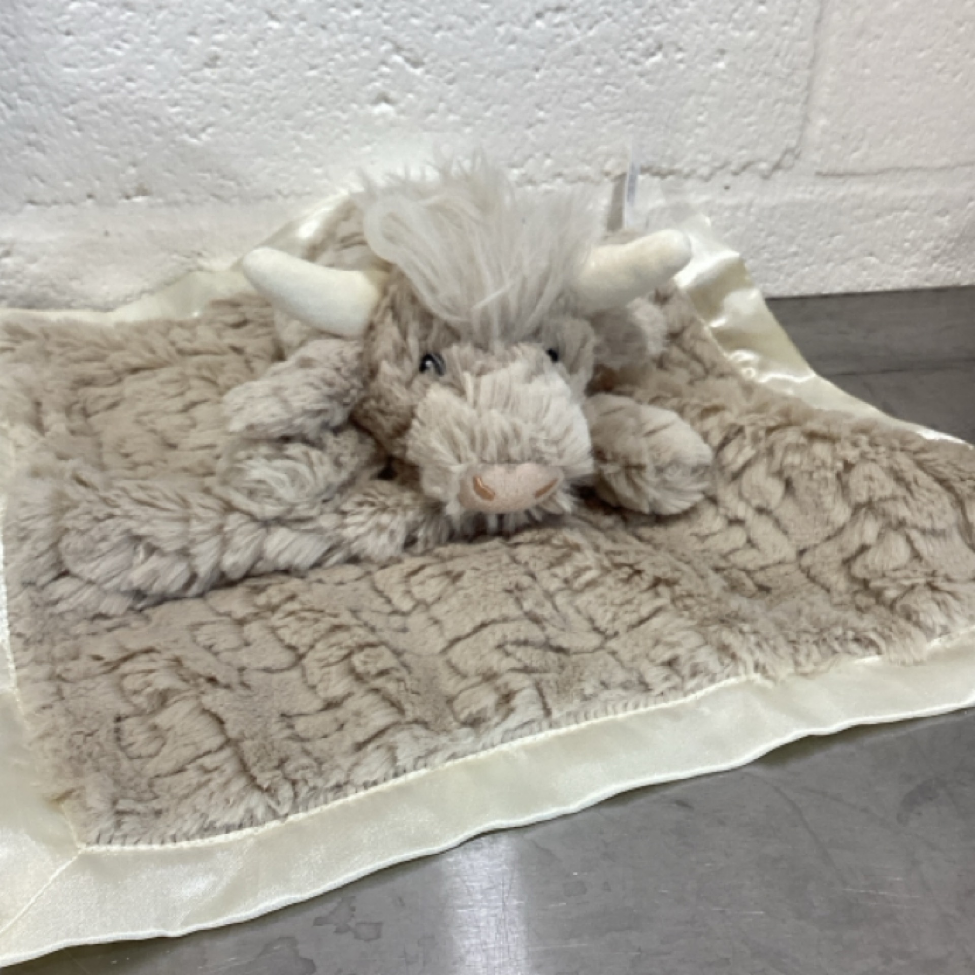 Putty Colored Highland Cow Baby Blanket at the Cedar Pond Farms gift shop — our fluffy Highland cow farm just outside the Smoky Mountains.