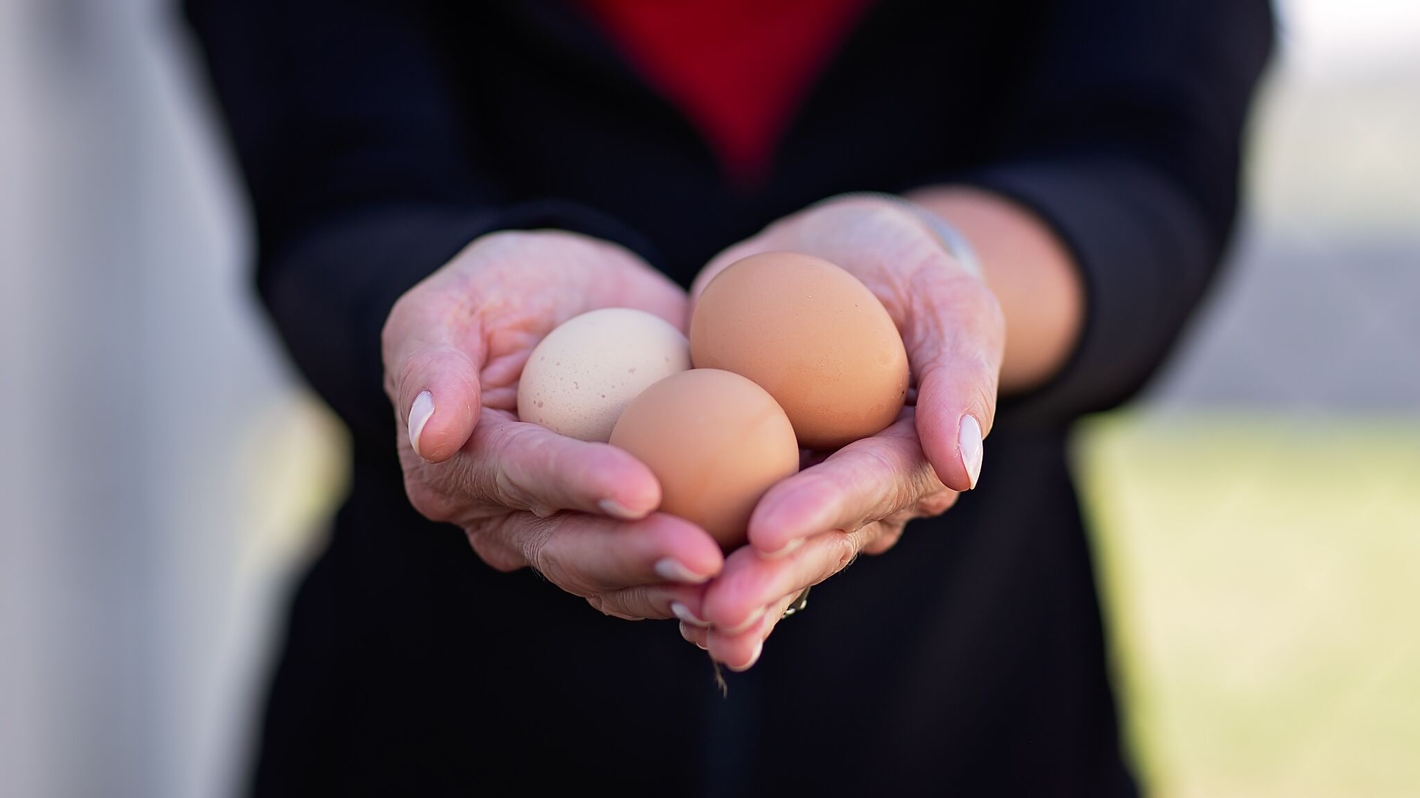 Fresh farm eggs add a charming, homegrown touch to your stay